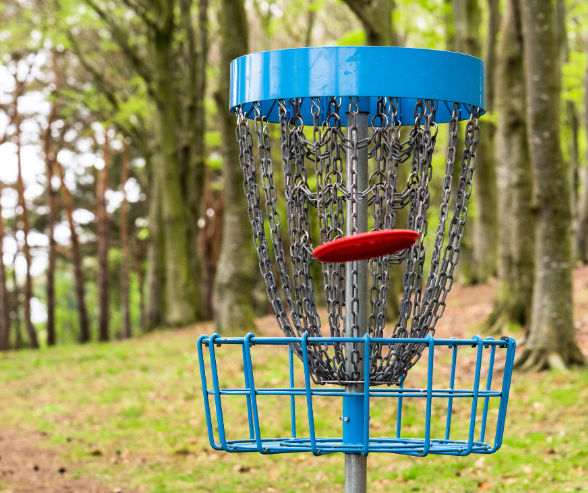 A disc golf basket with blue metal rings and chains, a red plastic disc in the chains, situated in a wooded park.