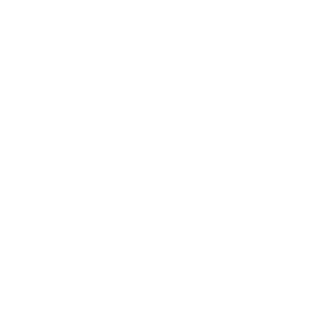 White outline of a golf flag on a flagstick inside a circle on a black background.