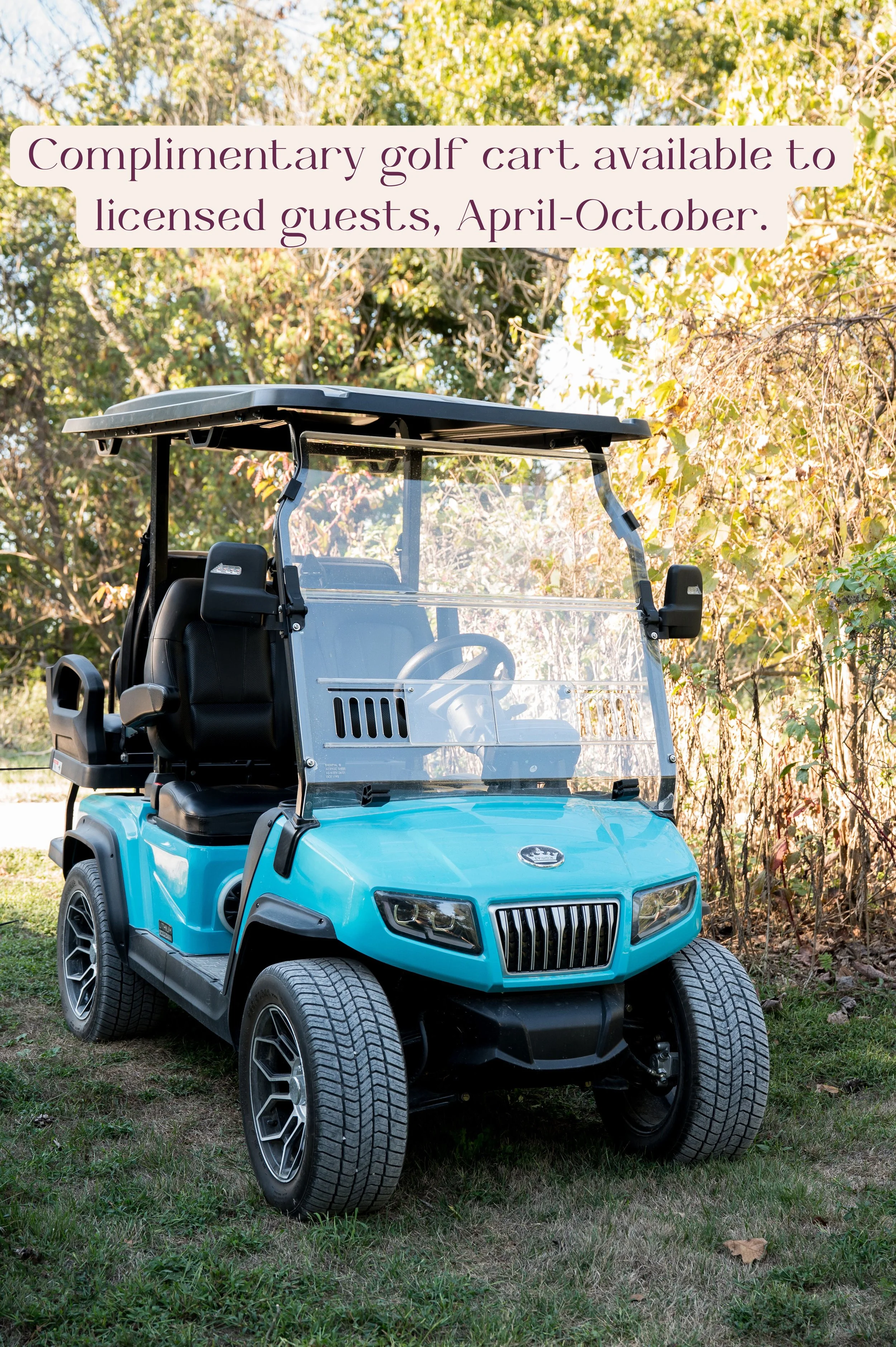 Complimentary golf cart (1).jpg