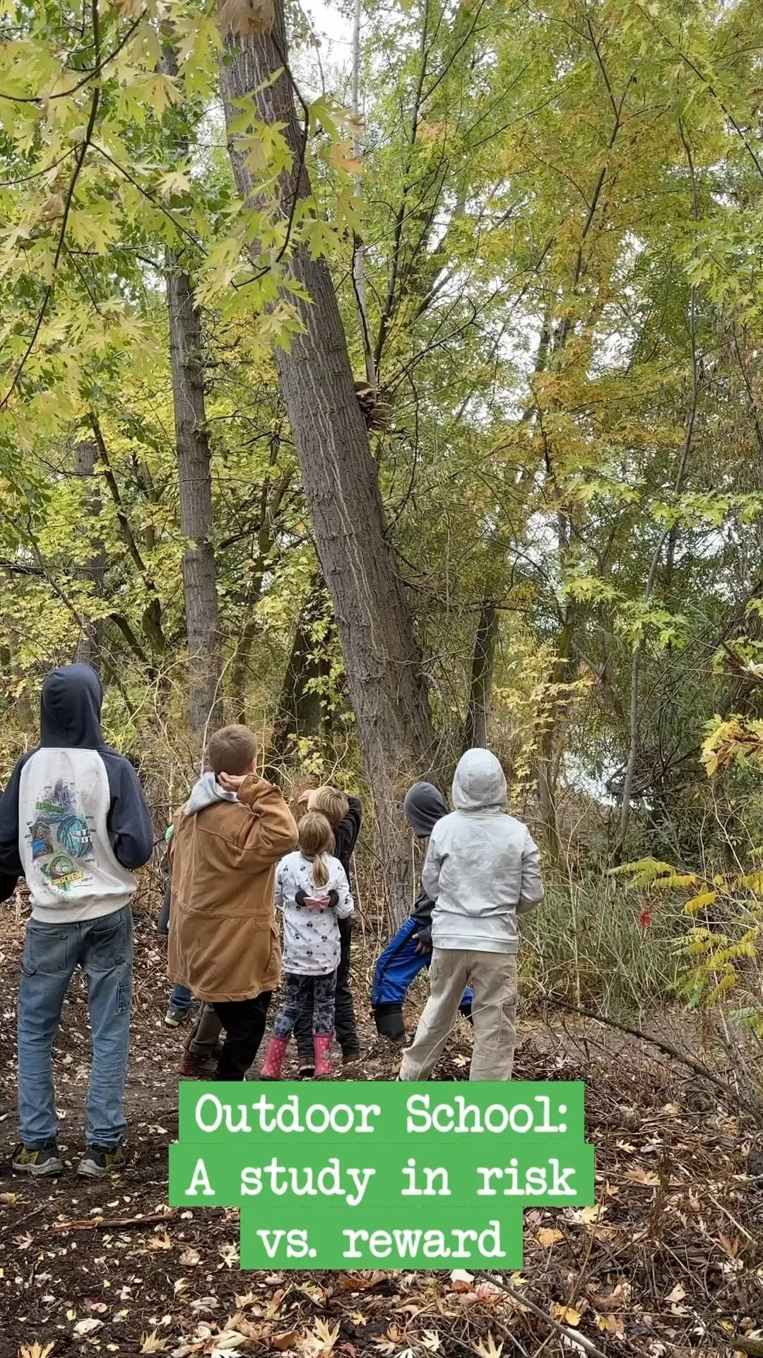 The best part of our programming is the intersection of core classes and nature exploration.
While it is often a nature walk, if we see something interesting- like enormous mushrooms growing high up on the side of a tree, we get to detour. Pause an
