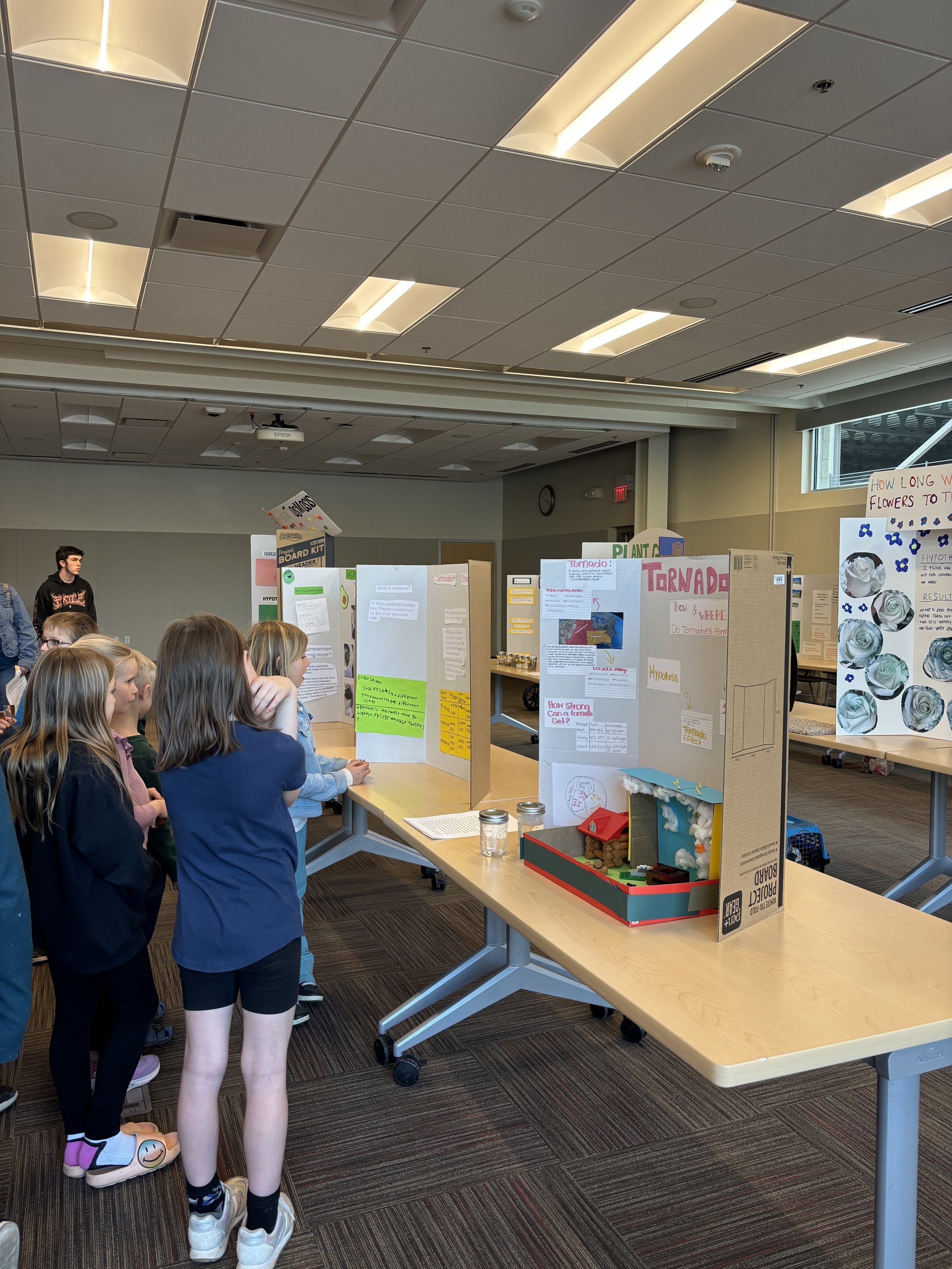 Homeschool Science Fair