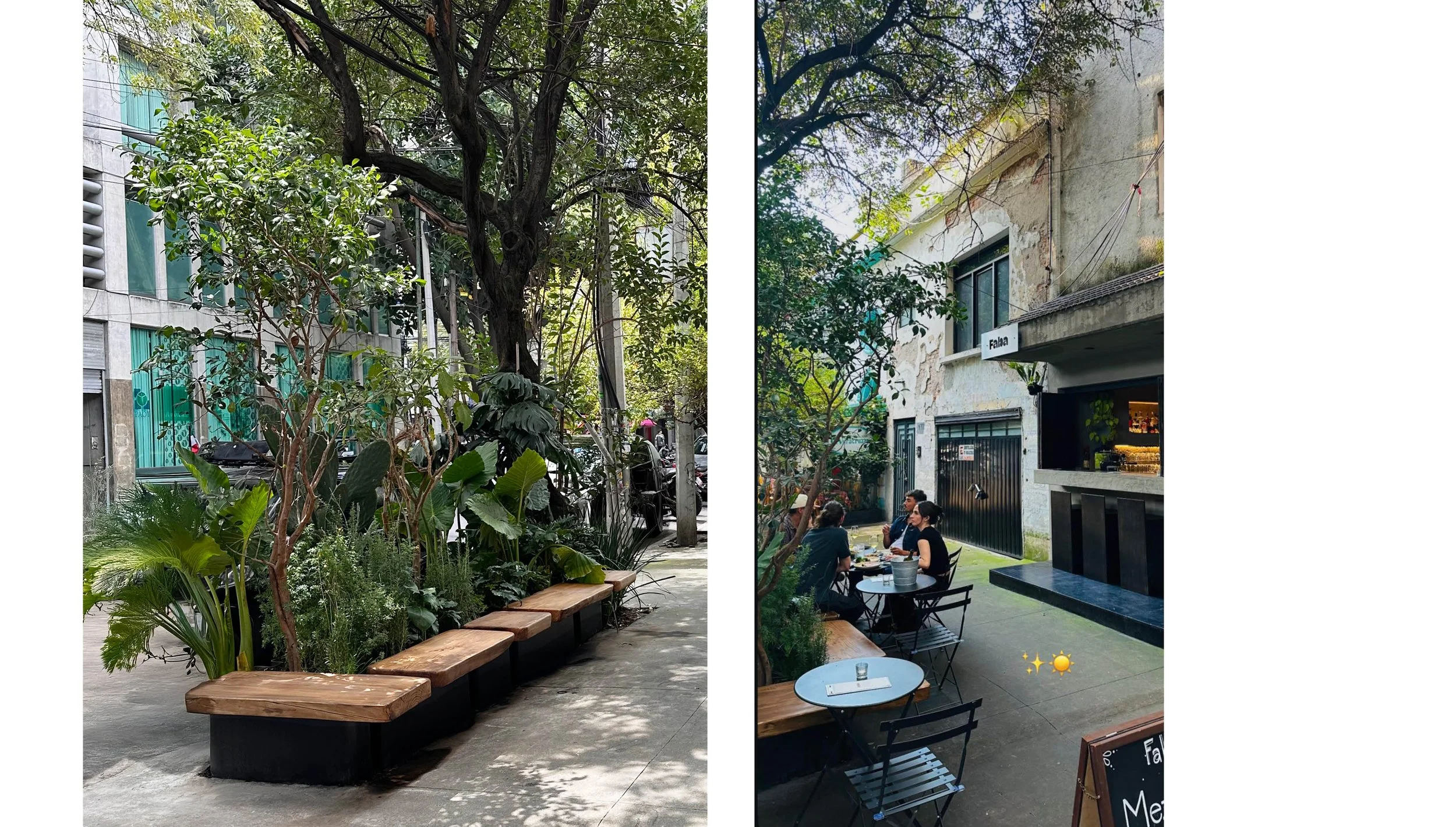 cada projects faba.jpg