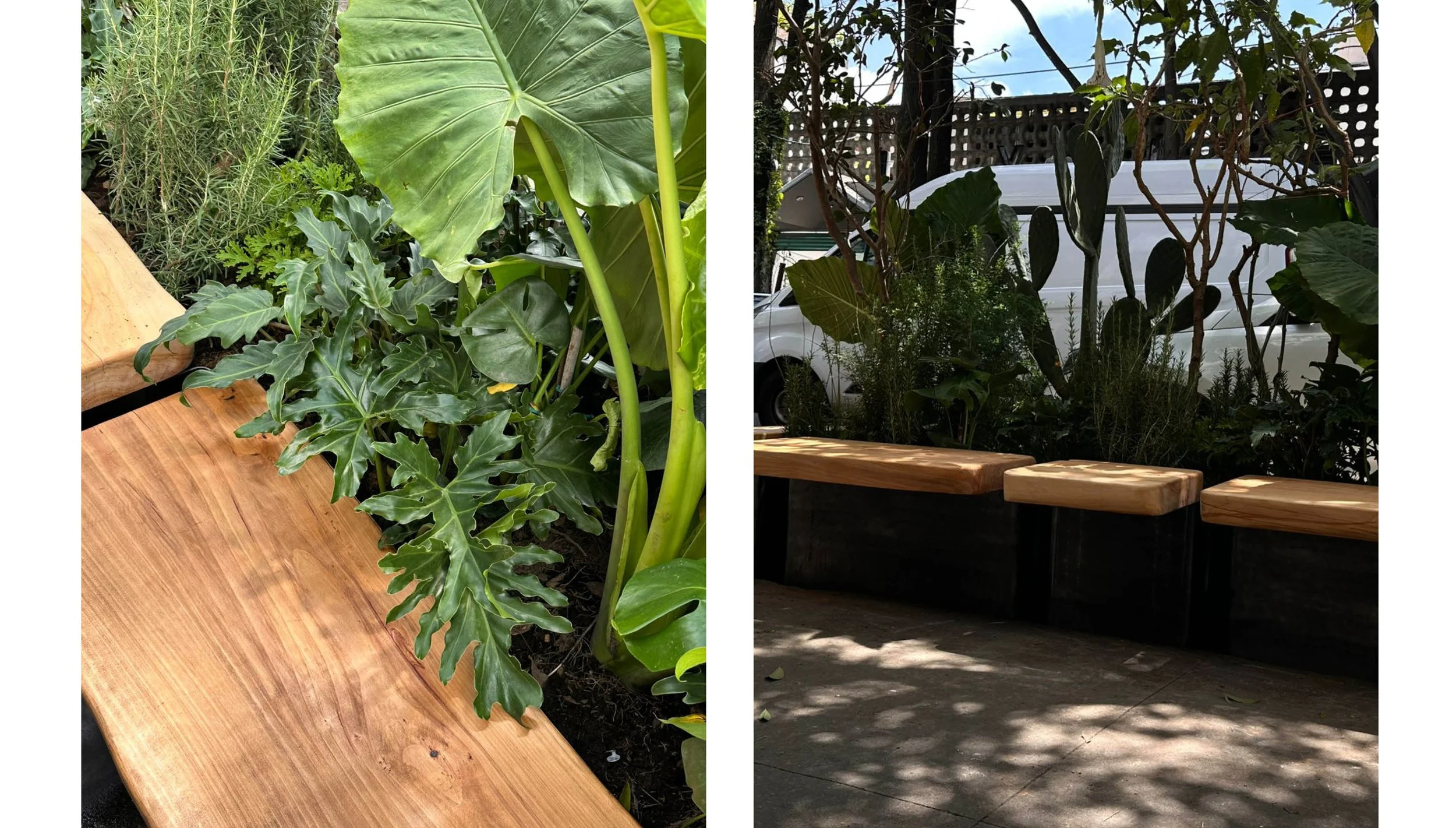 cada projects faba3.jpg