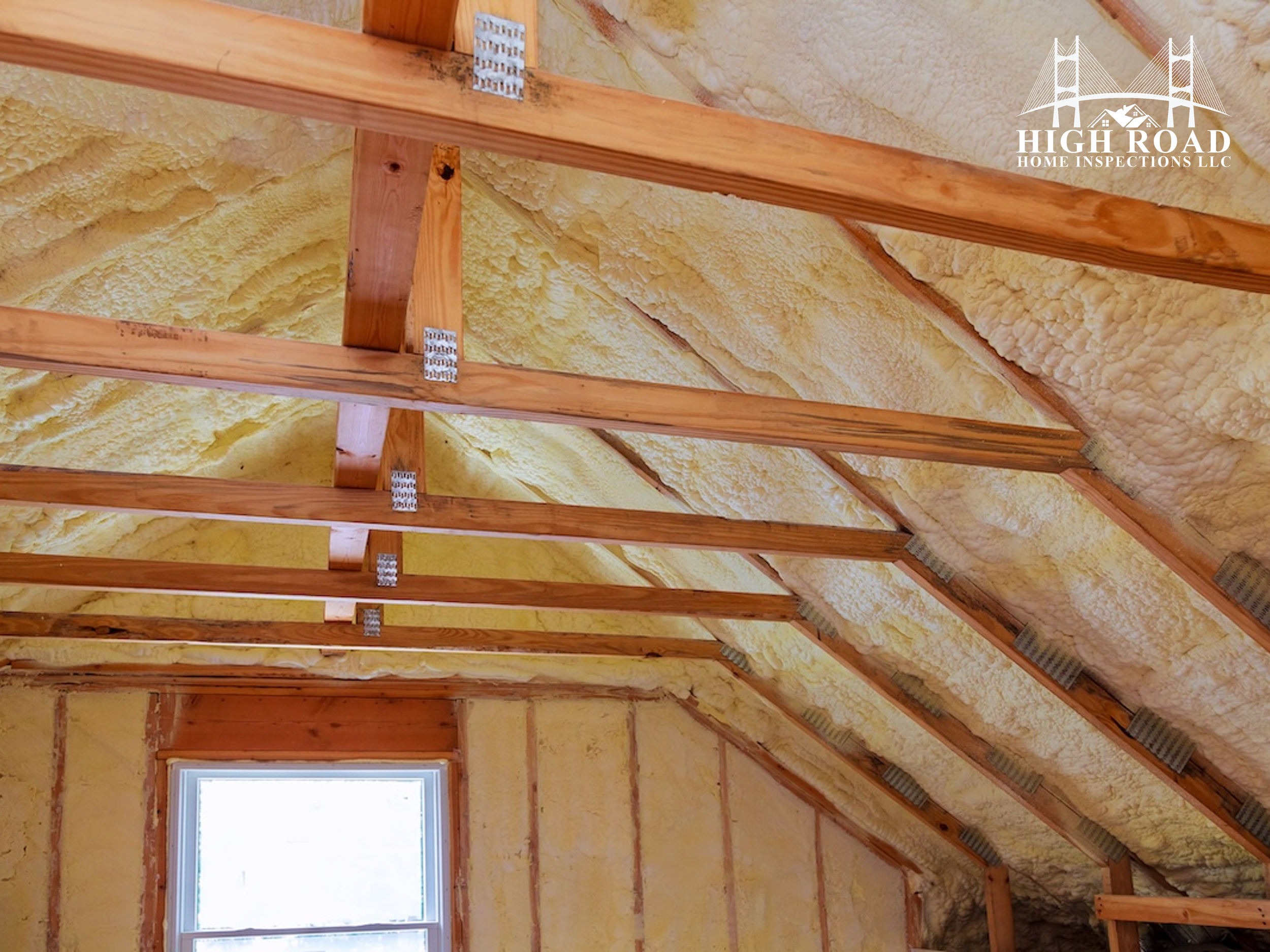 The Hidden Winter Issues Florida Homeowners Should Be Watching For in January