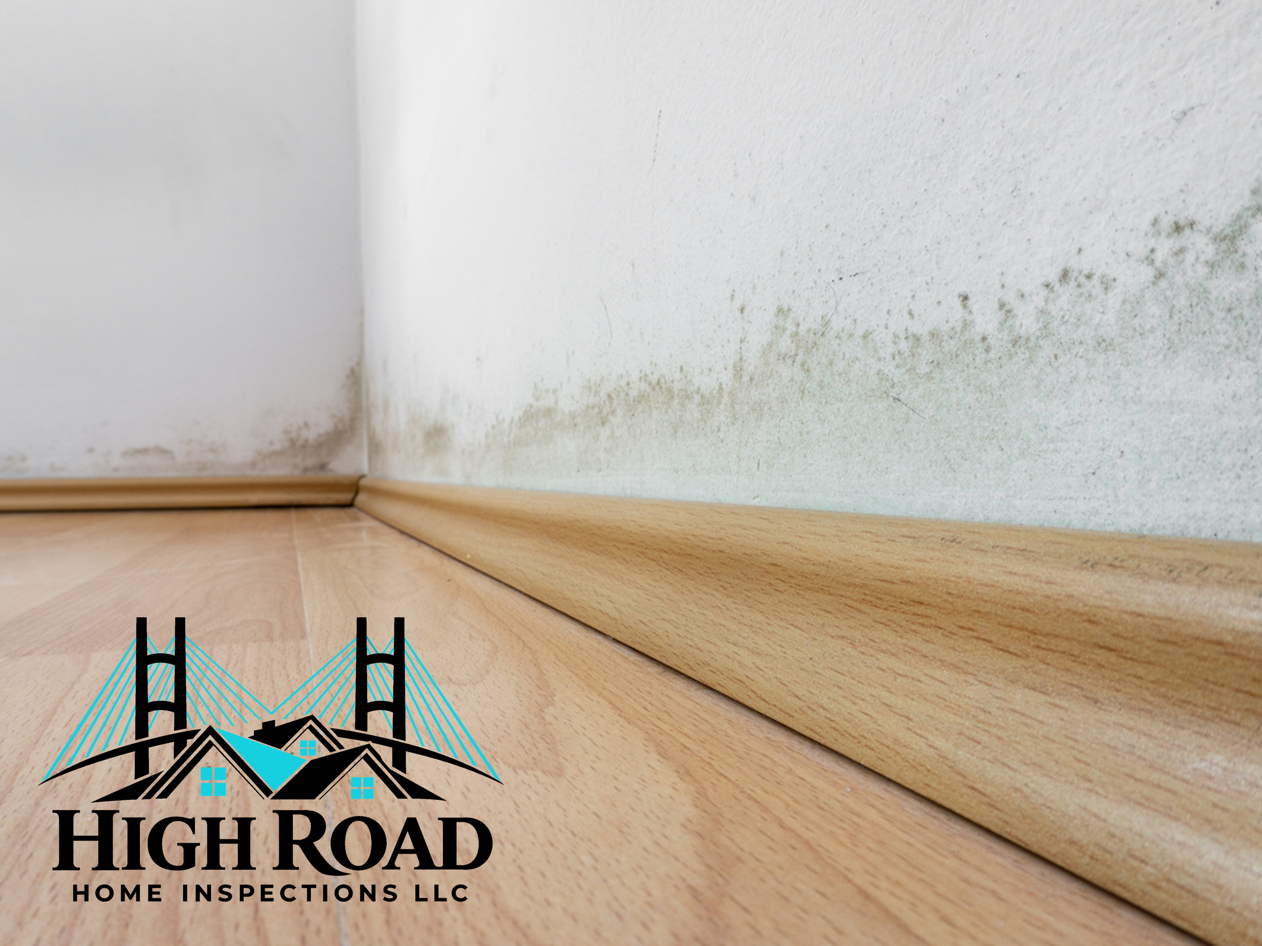 How Florida Humidity Impacts Your Home — And What a Professional Inspection Can Reveal