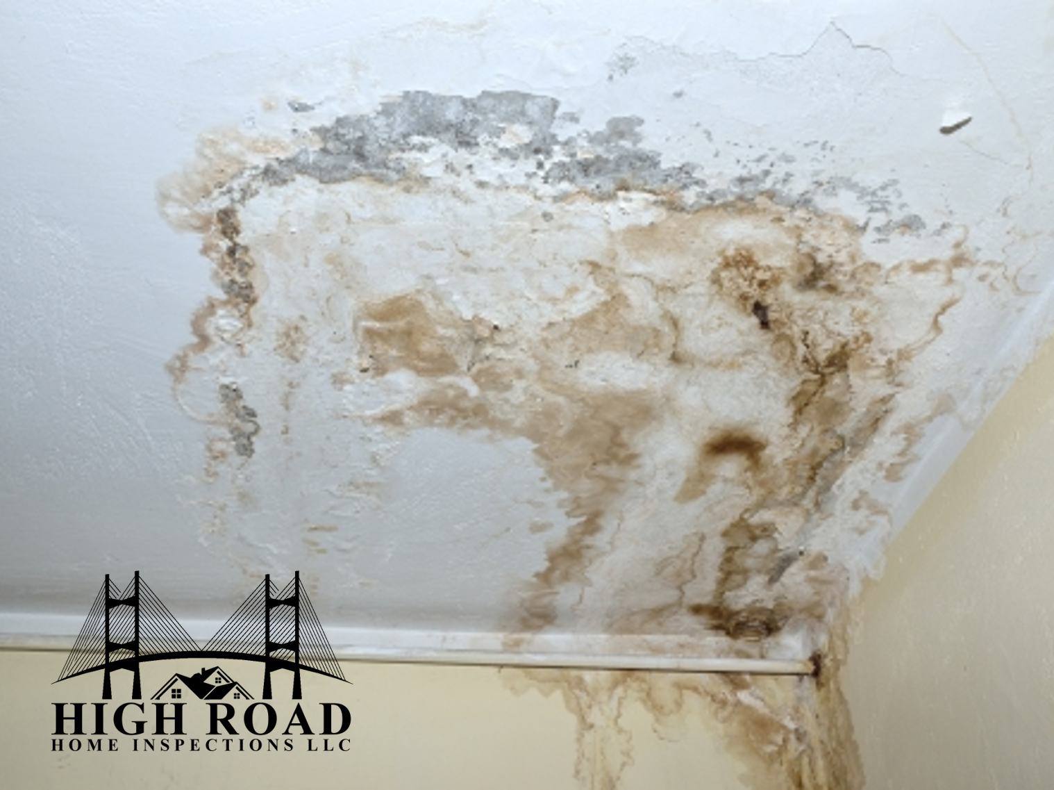Summer Moisture &amp; Mold Risks in Florida Homes — What Inspections Can Reveal
