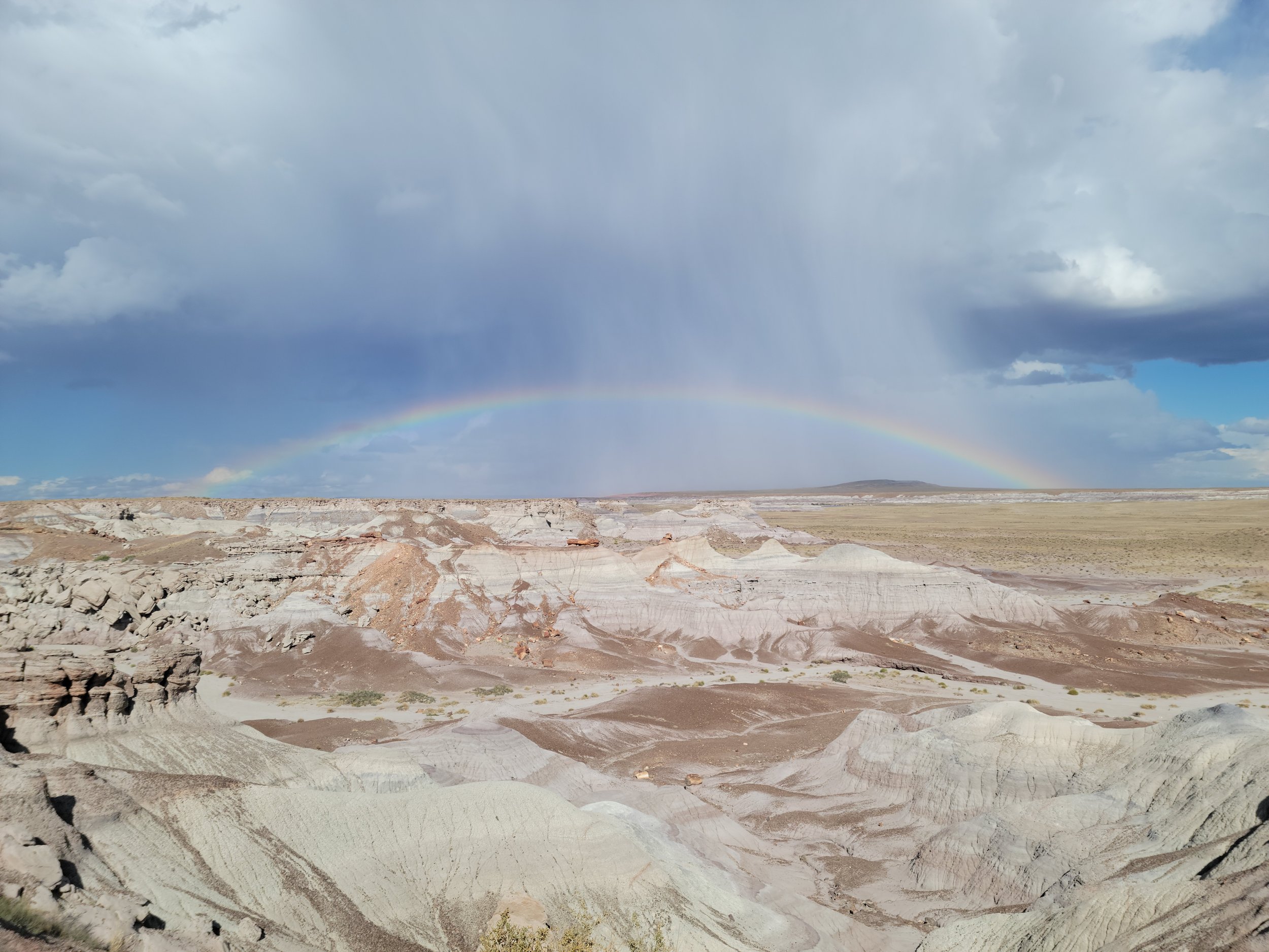big rainbow website.jpg