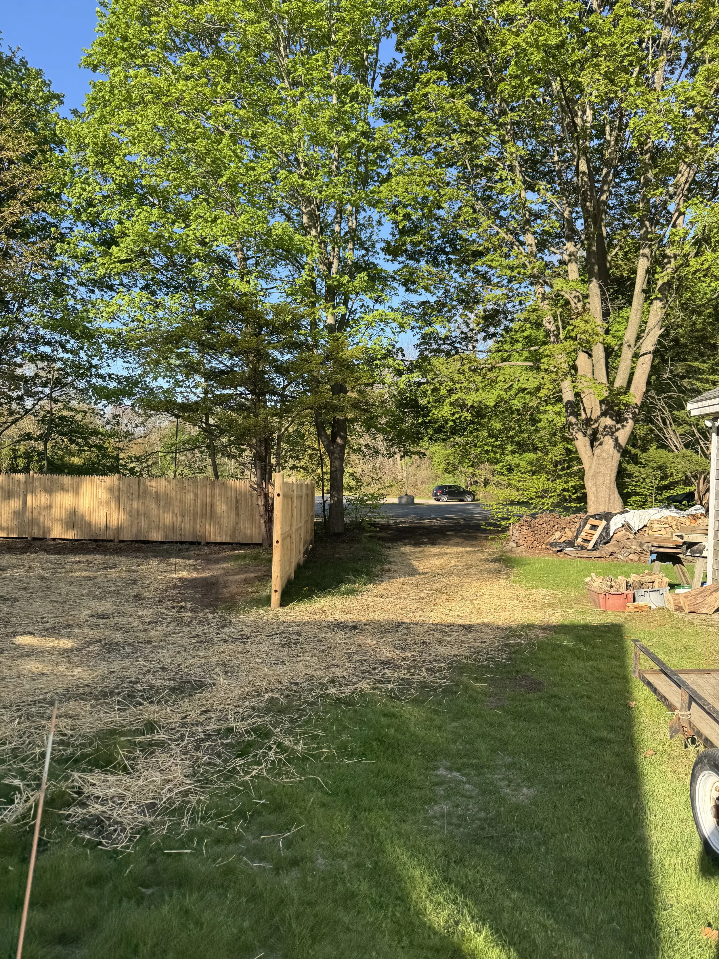 An outdoor yard scene with a large green tree, a wooden fence, and a black vehicle in the background. Piles of construction materials and tools are on the ground to the right. The sky is clear and blue.