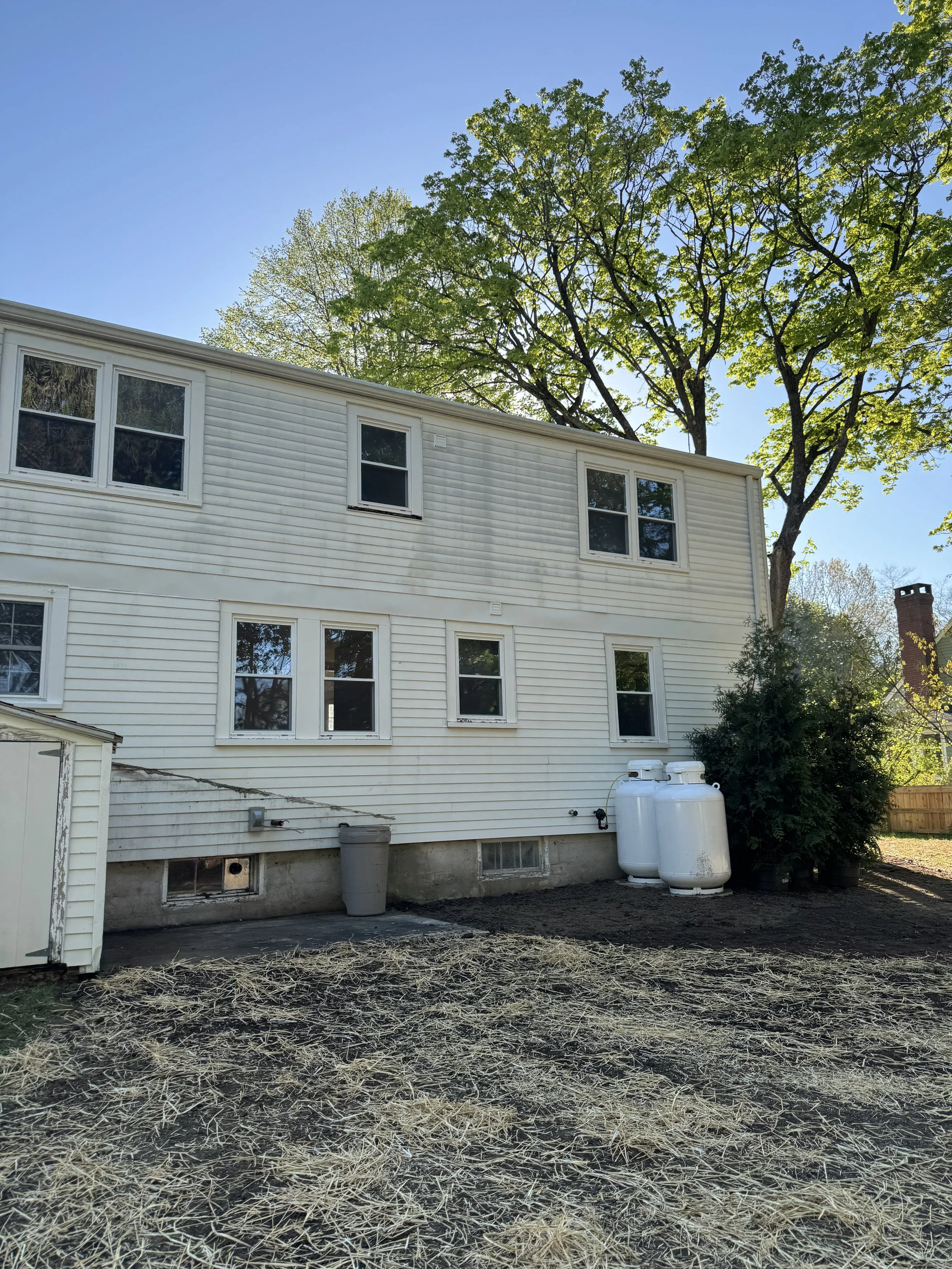 Backyard view of a white multi-story house with multiple windows, large green trees, and propane tanks, with an area of soil with straw on the ground.