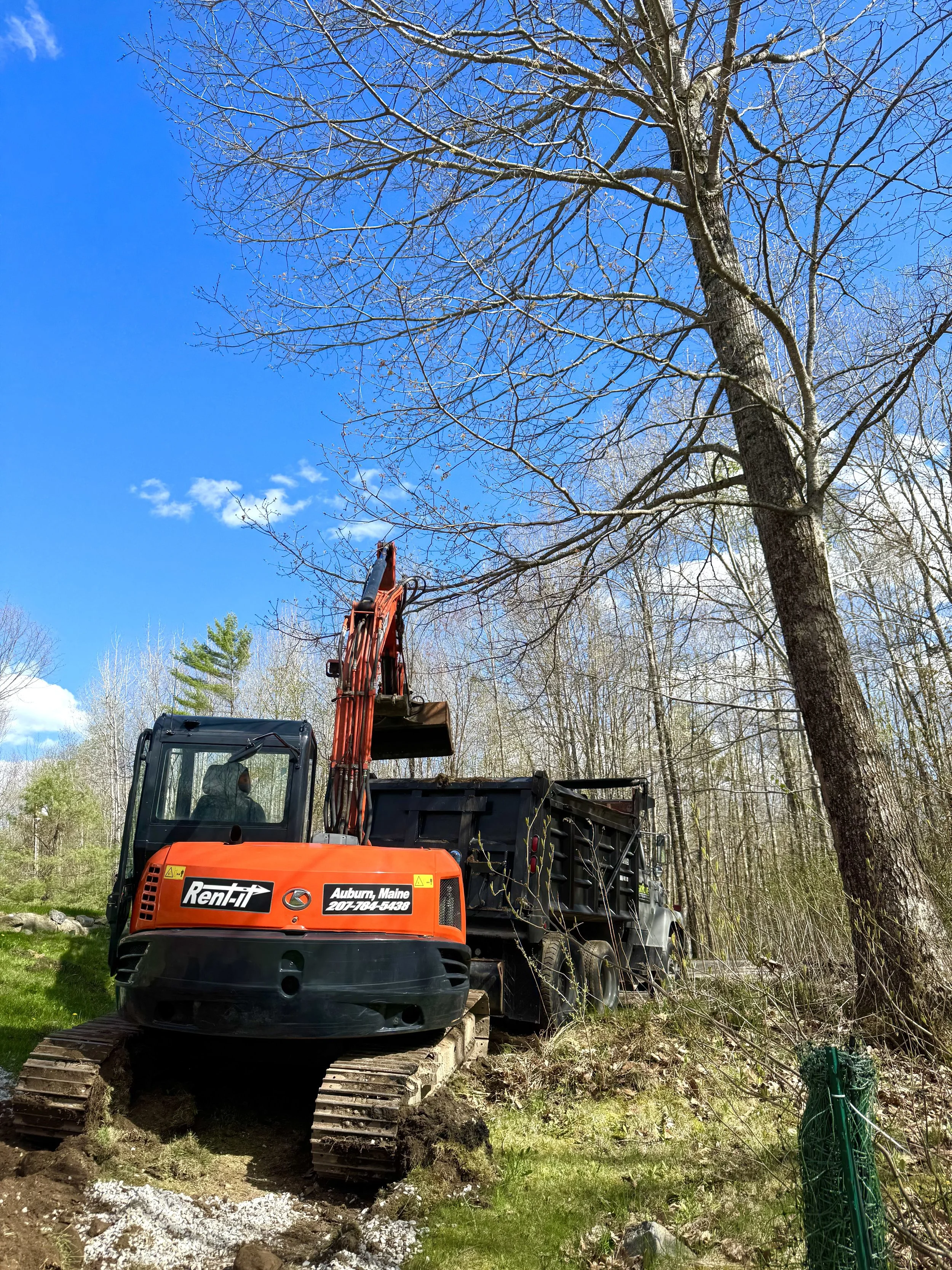 A large orange excavator with black tracks is working on removing trees and branches in a wooded area on a sunny day with a blue sky.