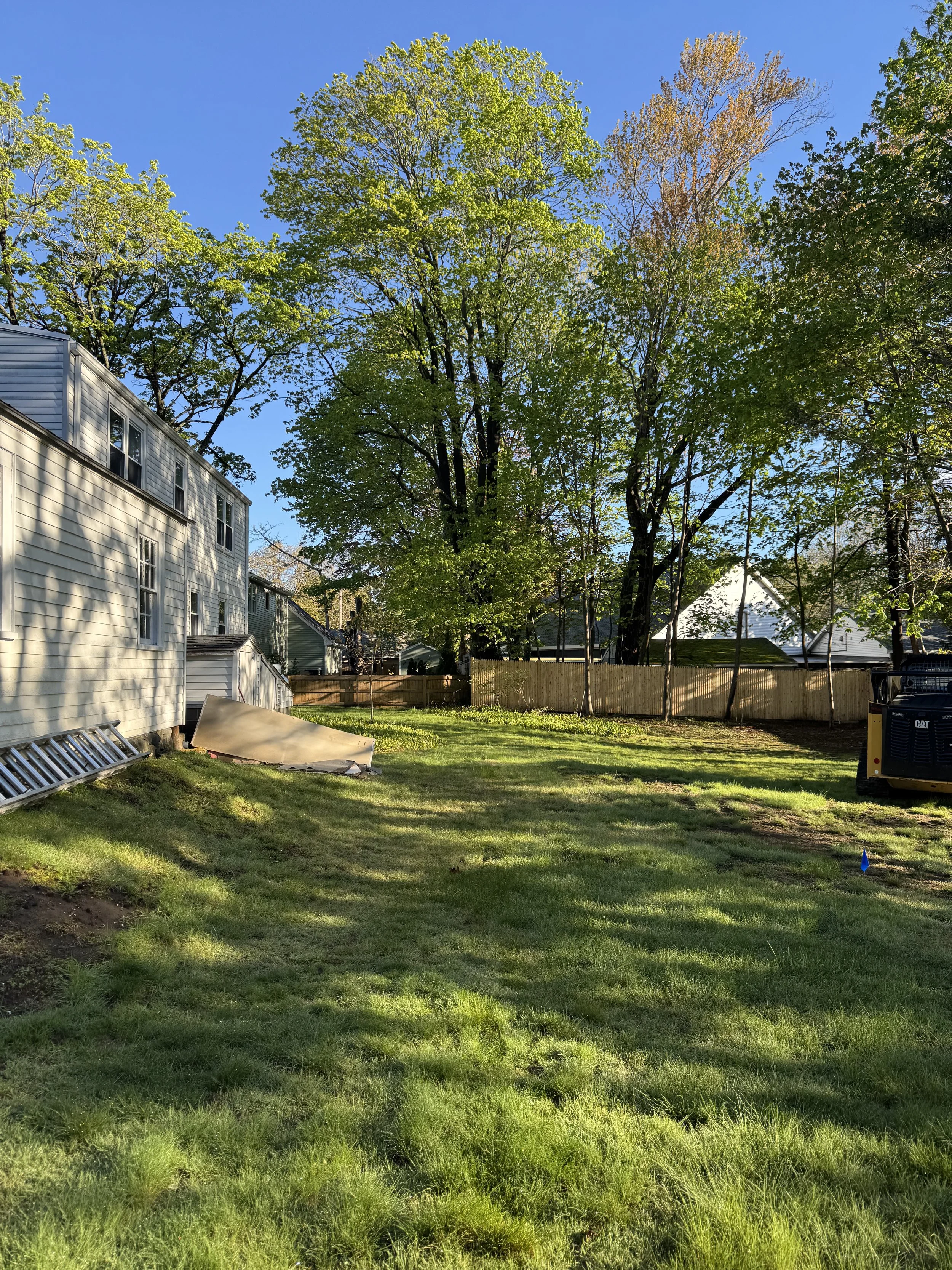 Backyard with green grass, tall trees with green and brown leaves, a fenced yard, decentralized white houses, and a construction or generator equipment on the right side under a clear blue sky.
