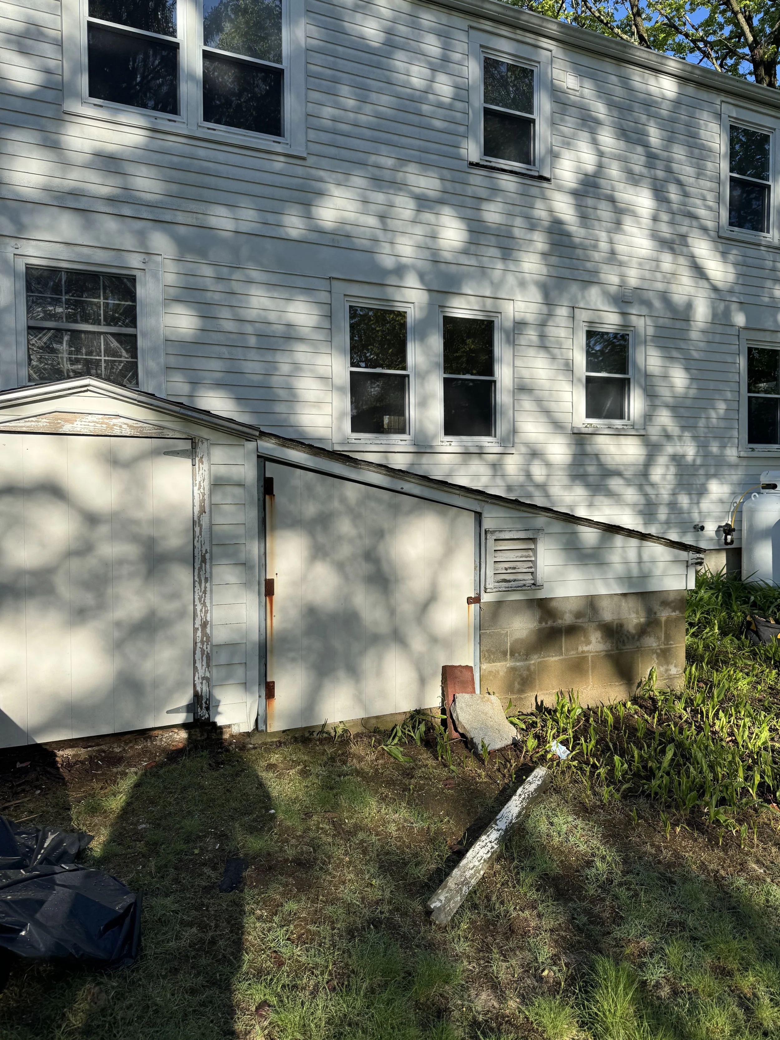 The back of a white house with multiple windows, some with open screens, and a small attached shed with a worn roof. The yard has grass, plants, and a tilted white pole, with shadows of tree branches and leaves on the house's exterior walls.