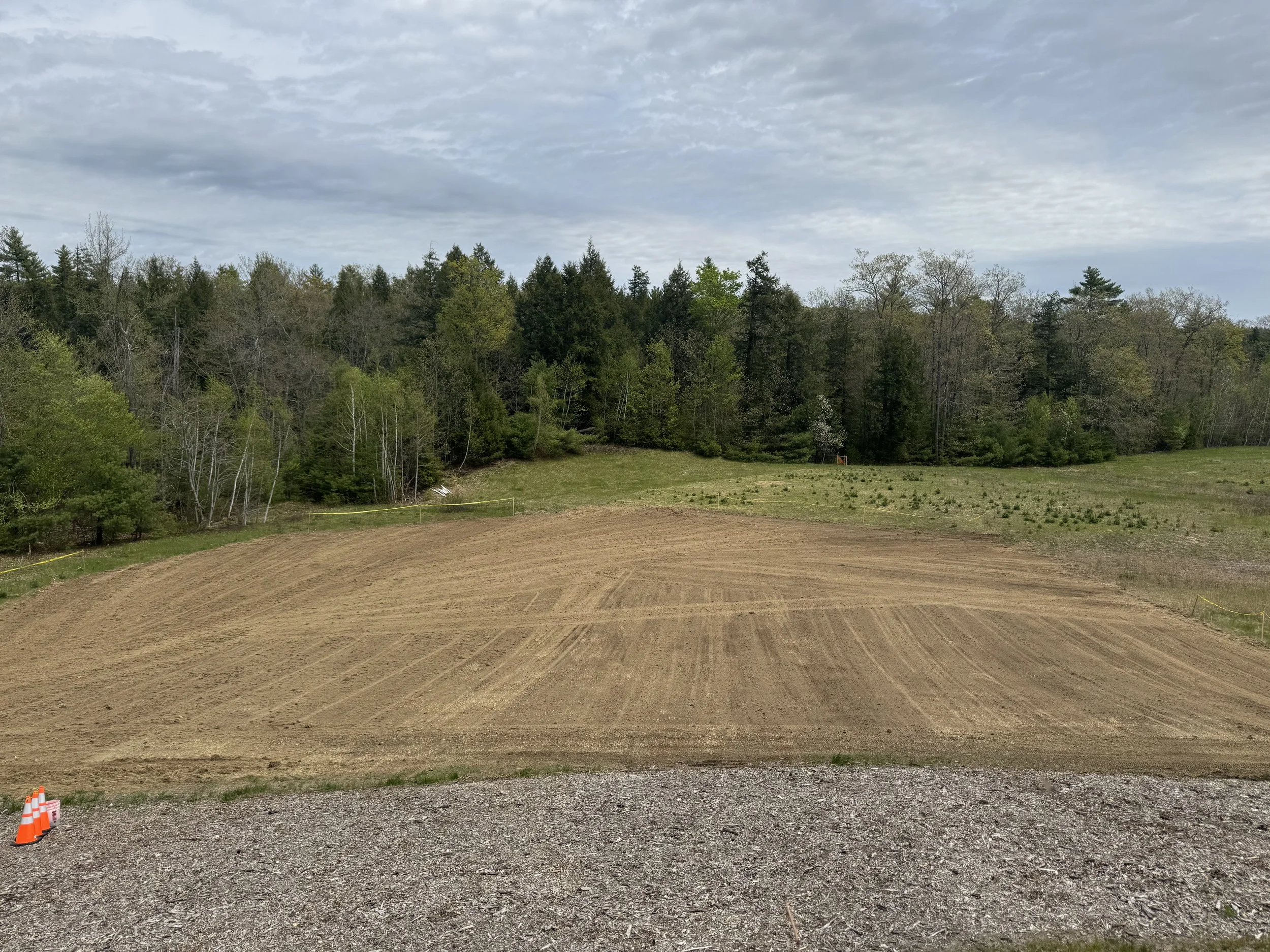 A landscape with a dirt field in the foreground, a grassy area beyond it, and a dense forest of trees in the background under a cloudy sky.