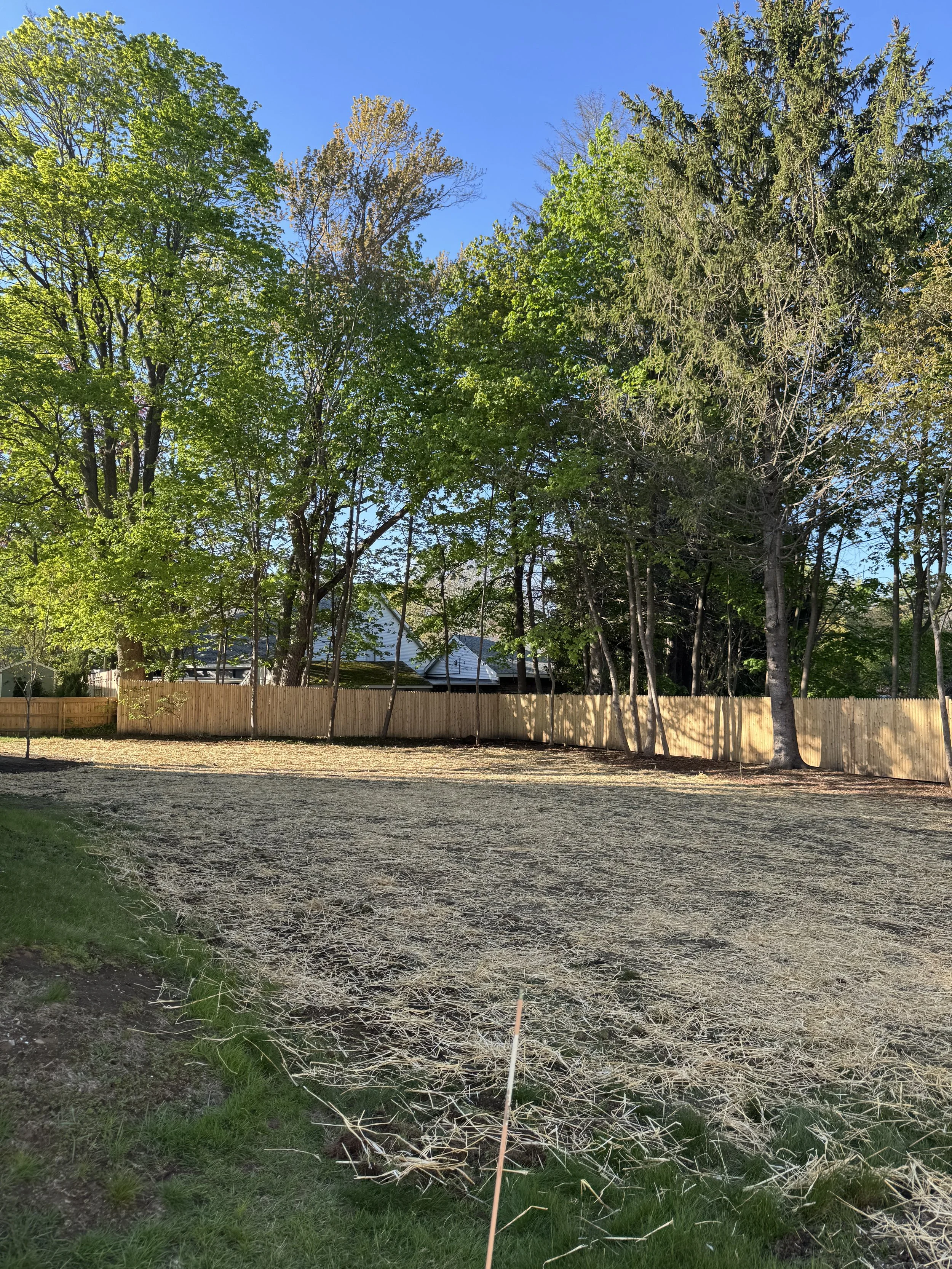 A backyard scene with a wooden fence, several trees with green leaves, and a house with a gray roof in the background, under a clear blue sky.