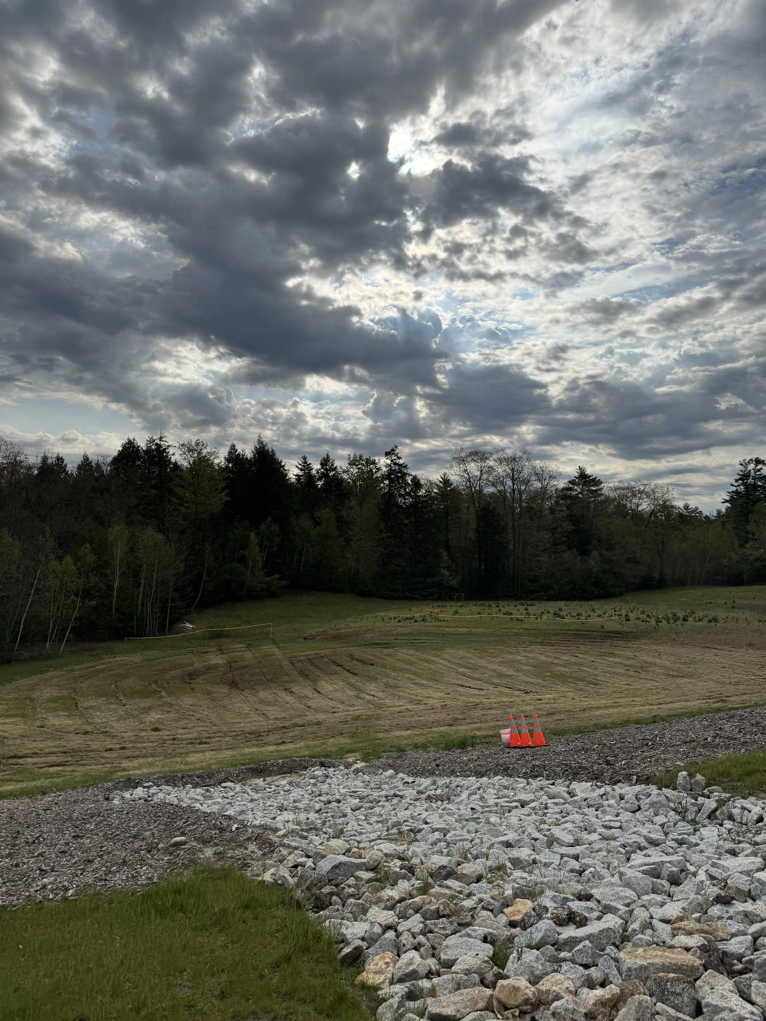 A landscape showing a cloudy sky with patches of blue, a forested area with mostly evergreen trees, a grassy field, and orange construction cones in the foreground.