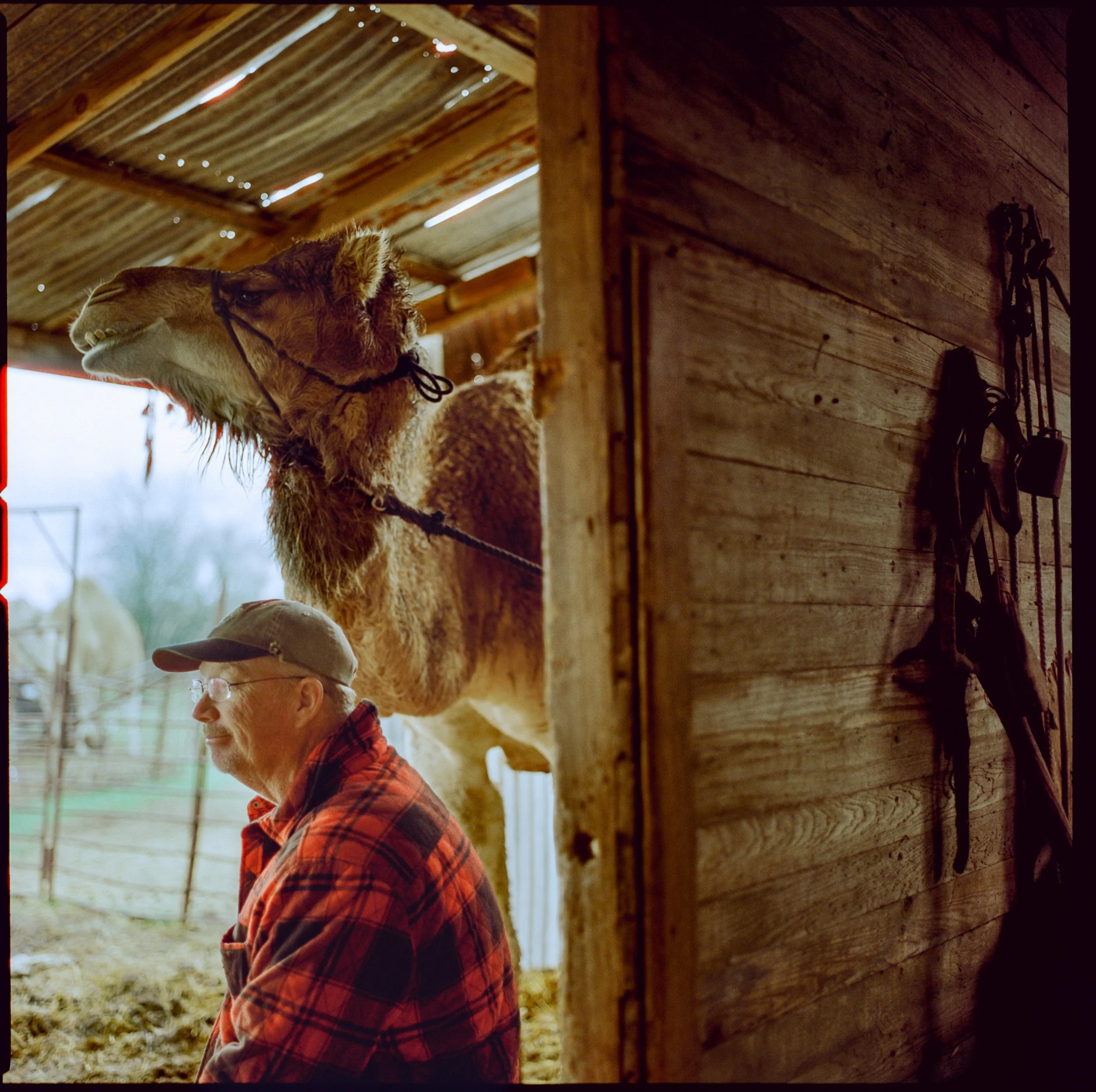 Oxford American — Points South