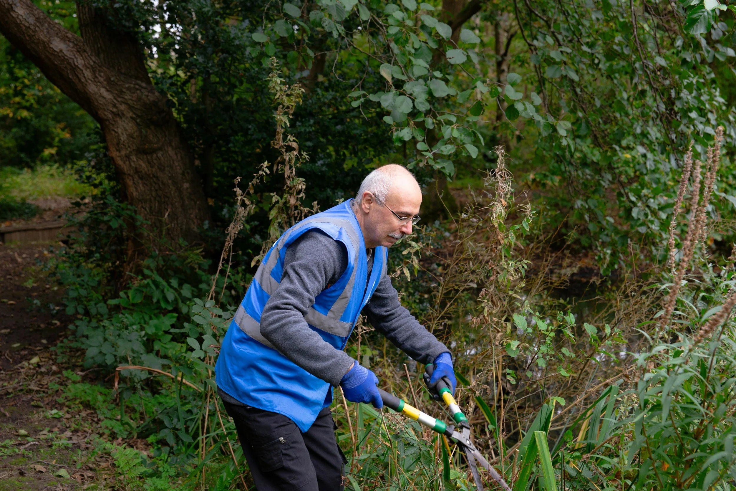 5 Reasons to Hire a Professional Gardener Instead of Doing It Yourself