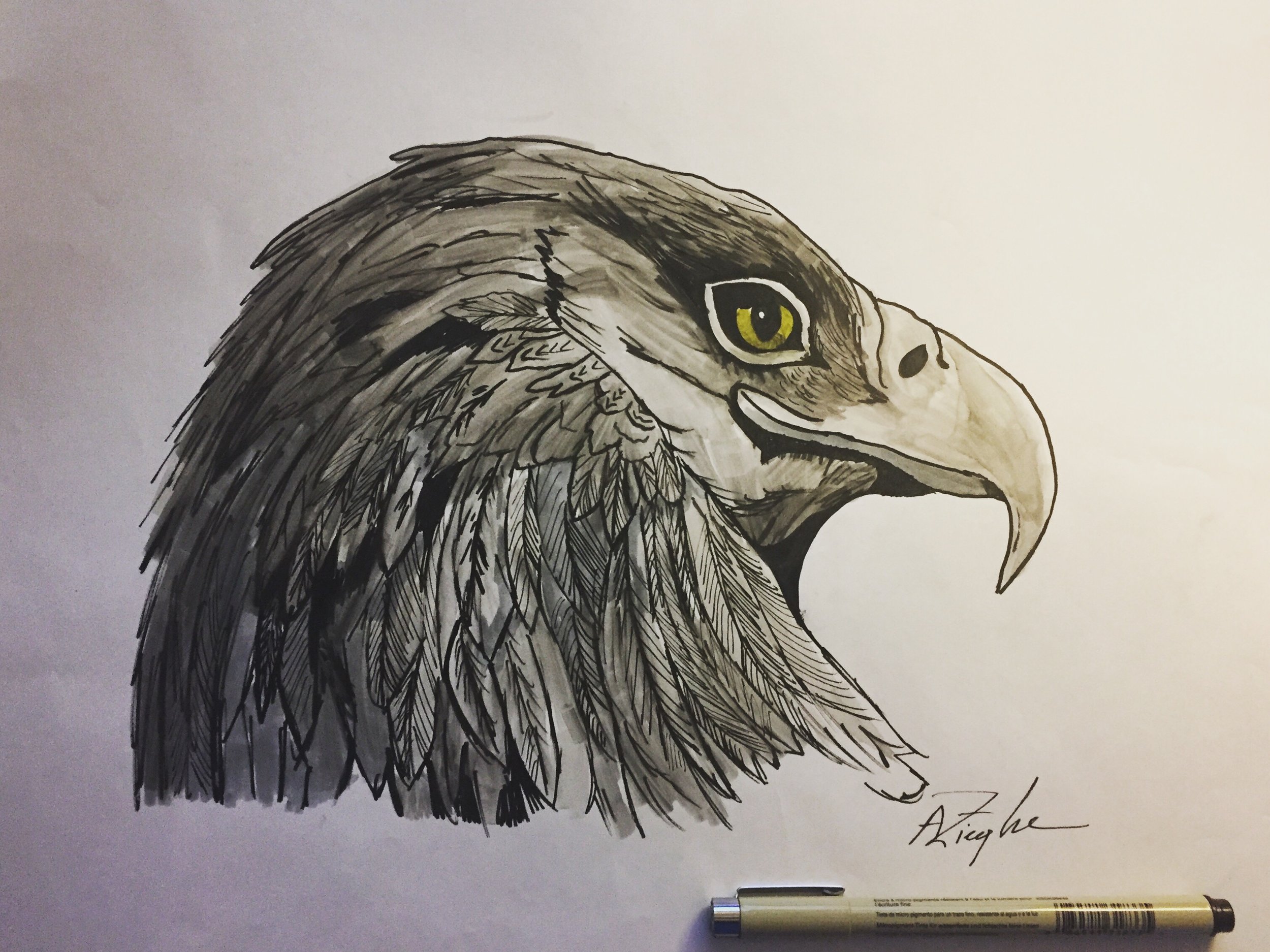537AF0CB-9F09-41A1-93A7-C3513DA76F9A.jpg