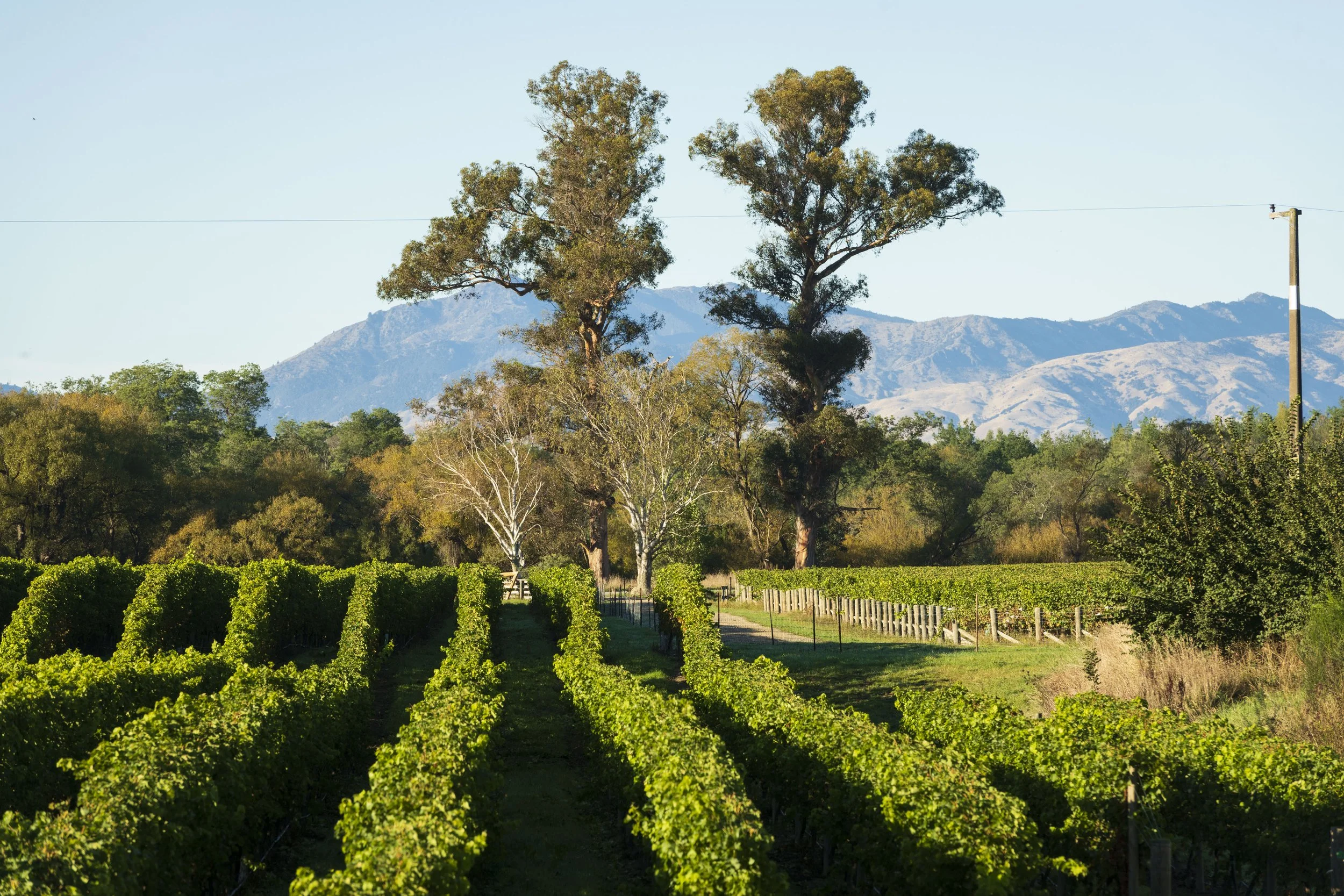 Landscape_Farm_©T3NPHOTO_2430.jpg