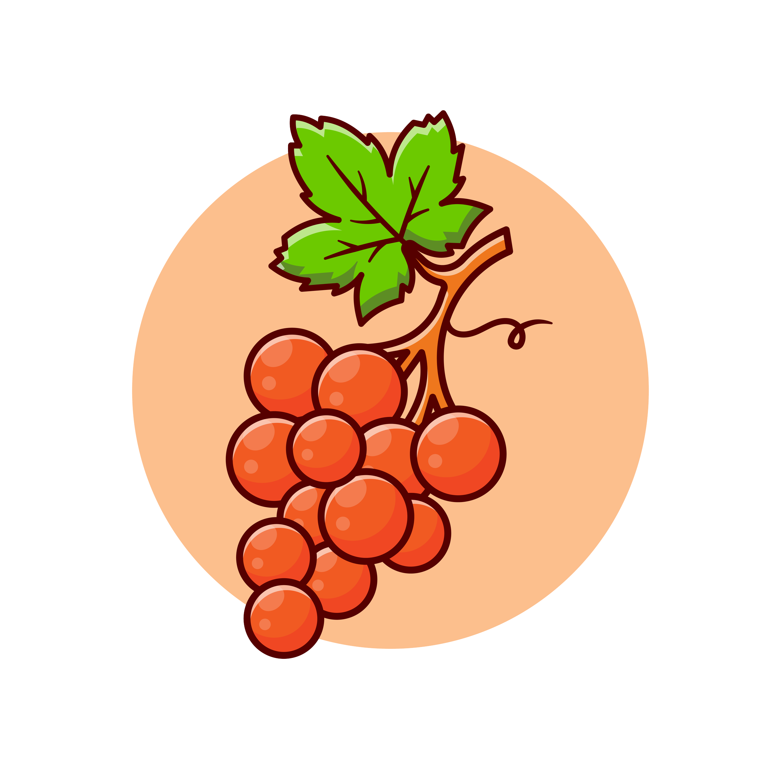 Wine Collective Direct