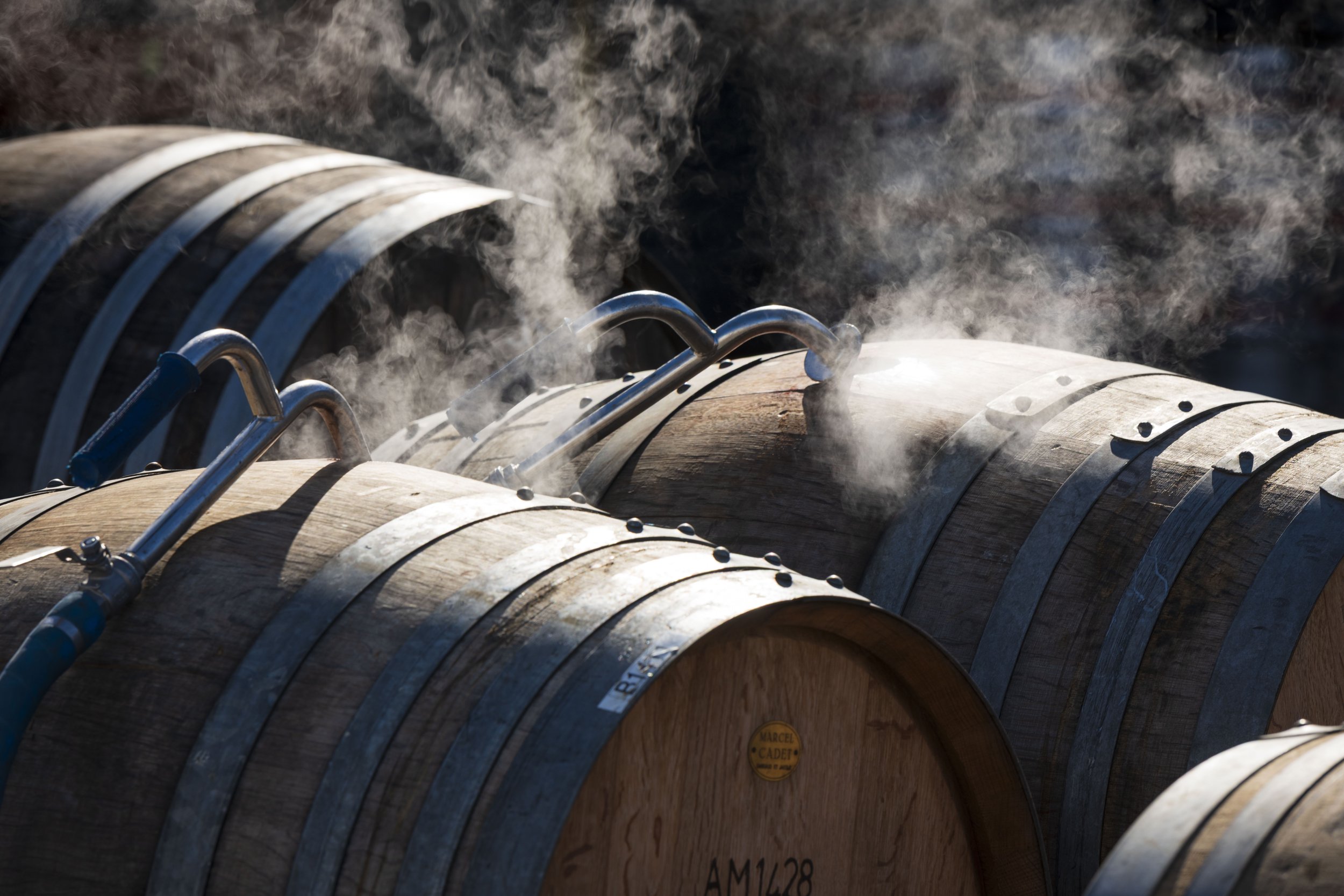 Winery_Barrels_©T3NPHOTO_0659.jpg