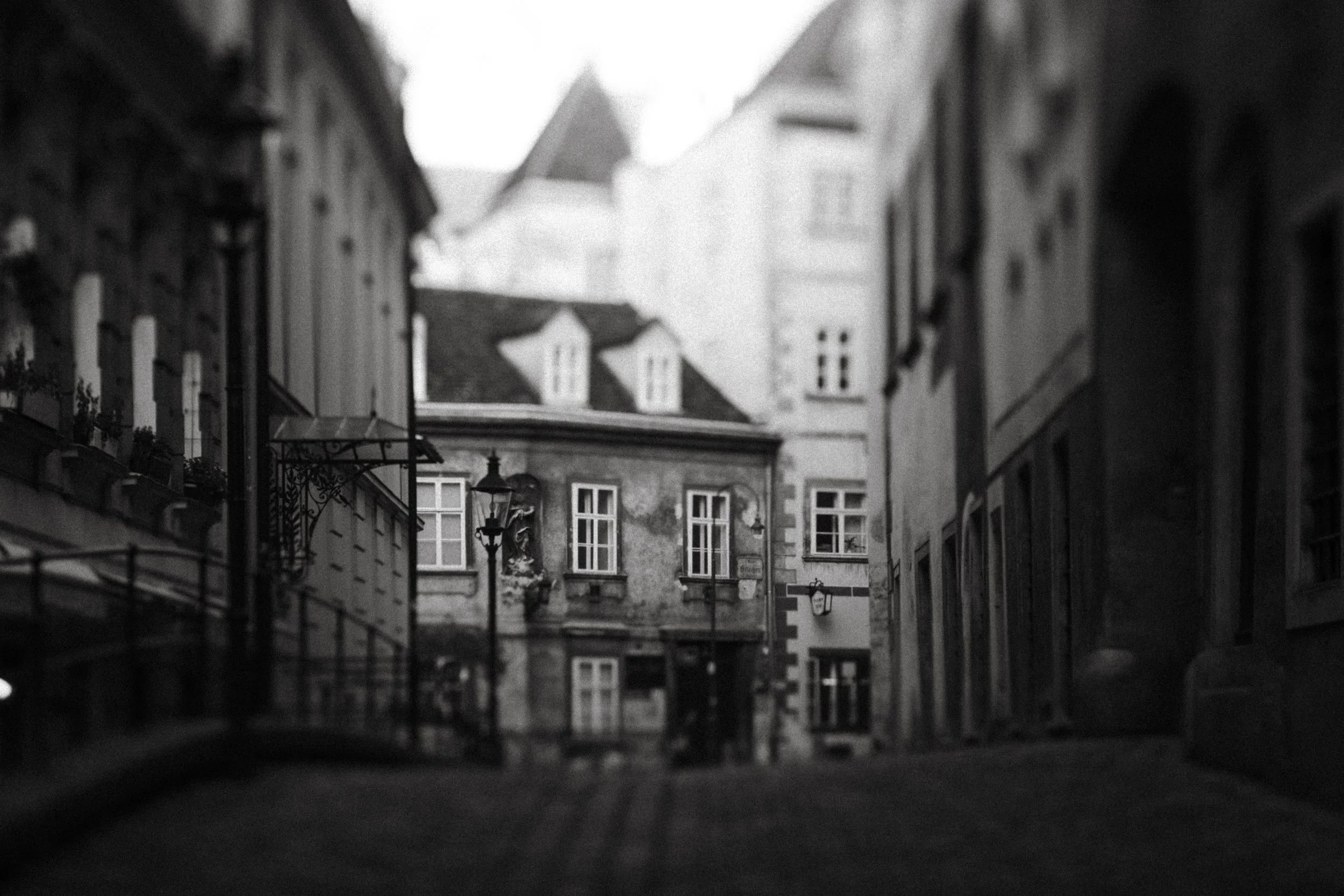 24-11-14 WEBSITE GALLERY RANDOM EDITS finals-17.jpg