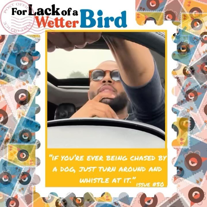 🐣 &ldquo;If you&rsquo;re ever being chased by a dog, just turn around and whistle at it.&rdquo;

@troydubois 50th(❗️) issue of @wetterbird gives  a hilarious yet insightful take on what to do (and NOT to do) when put in a compromising position with 