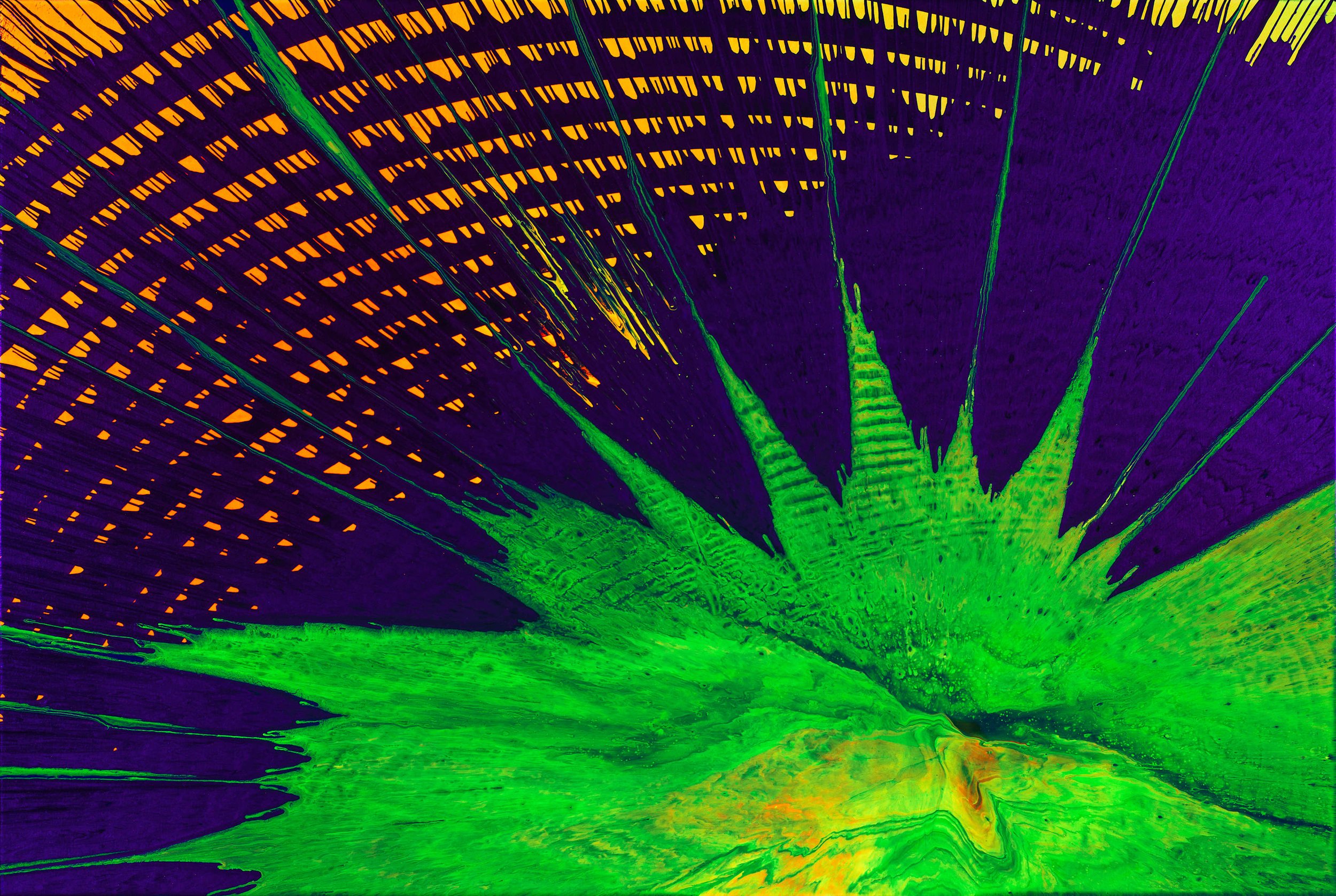 24-14_Black_light_pmdvyh.jpg