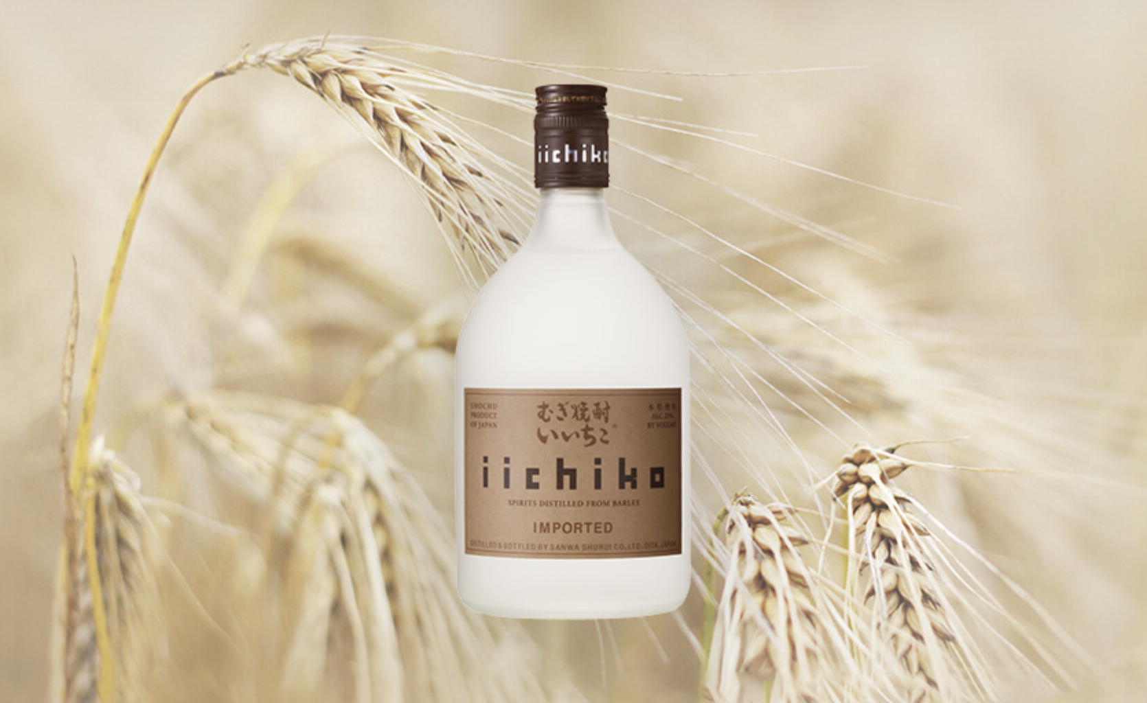 Screenshot 2025-12-28 at 3.12.43 PM.png