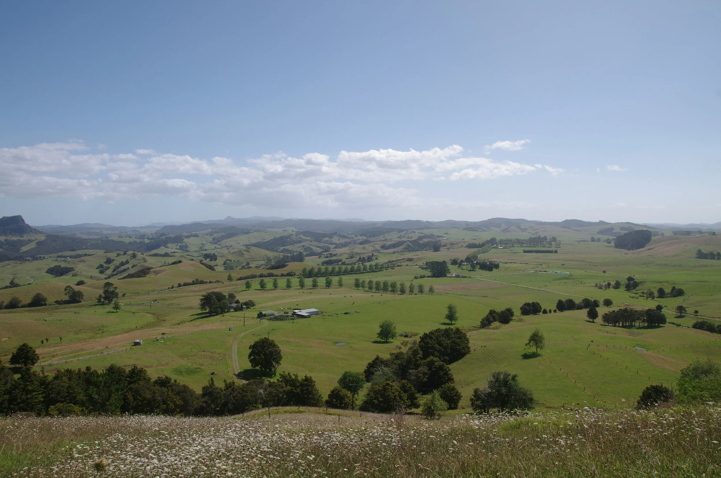 Wide view of green rolling hills with scattered trees, farm buildings, and a clear blue sky with some clouds.