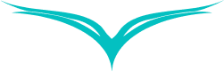 Elevate Pilates Fitness