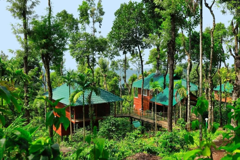 Huts with green roofs nestled among tall green trees in a lush forest.