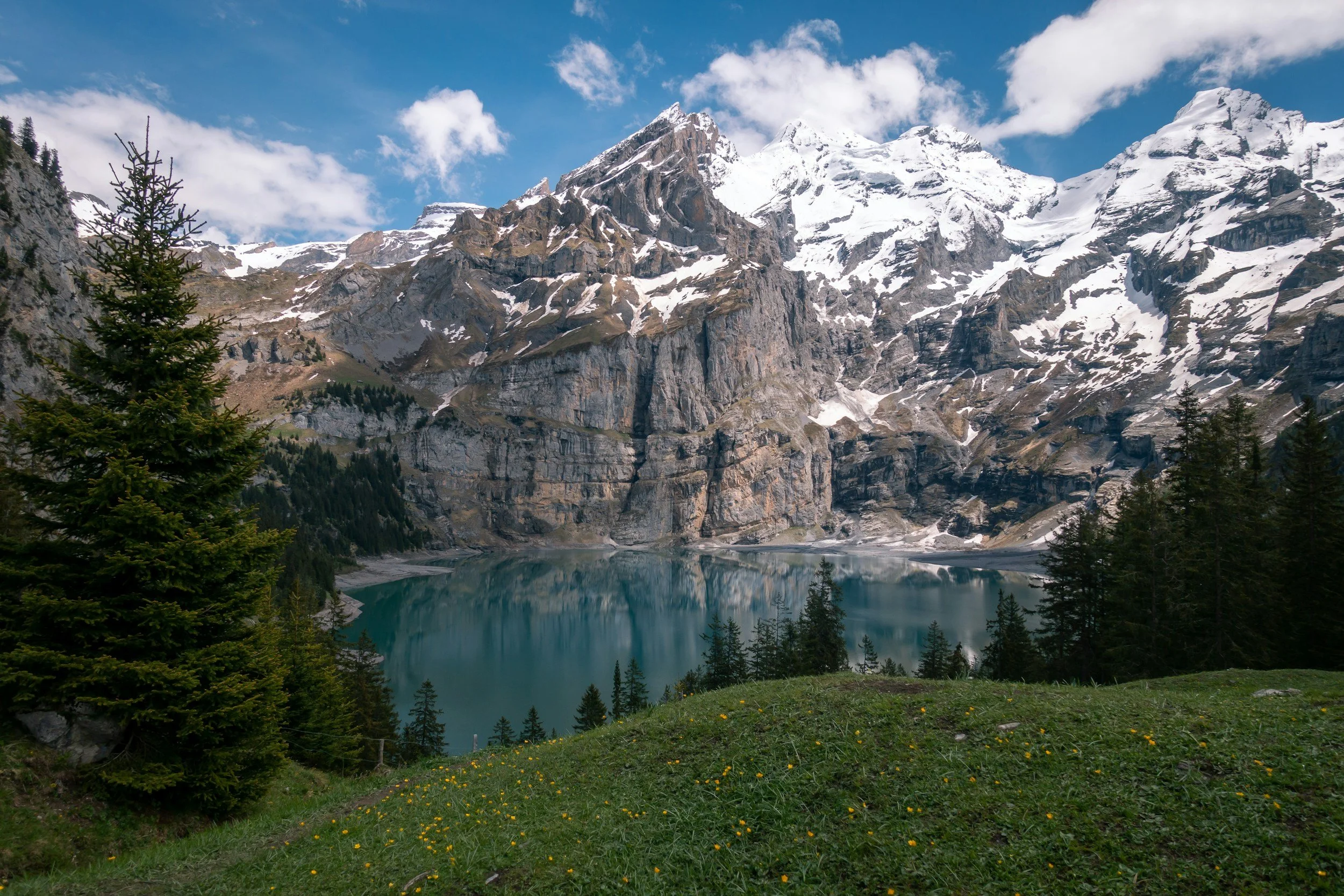 Snow-capped mountains surrounding a clear blue lake, with green trees and yellow flowers in the foreground.