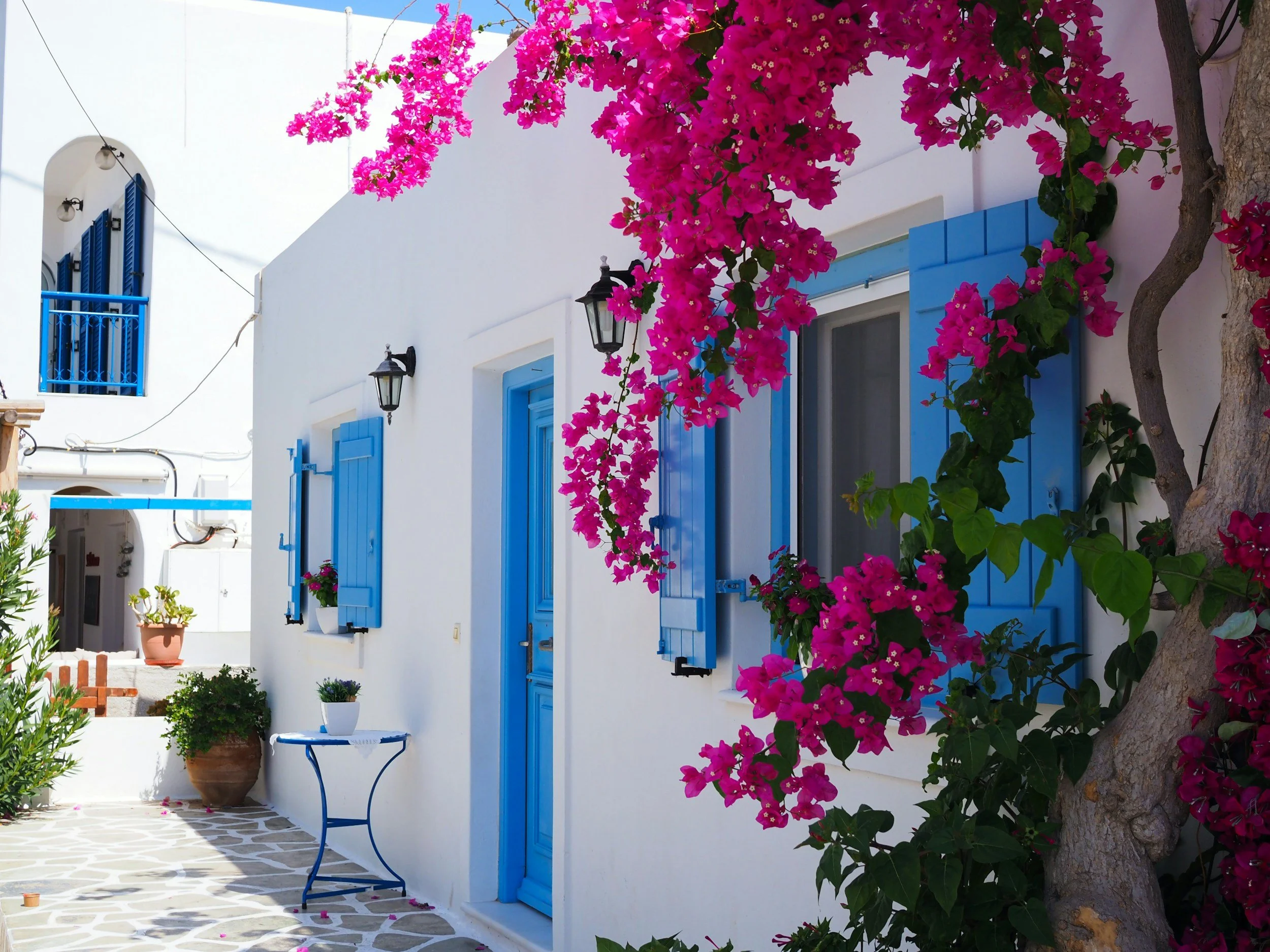 White Mediterranean-style building with blue shutters and door, pink bougainvillea flowers, potted plants, and a small table on a patterned stone-paved yard.