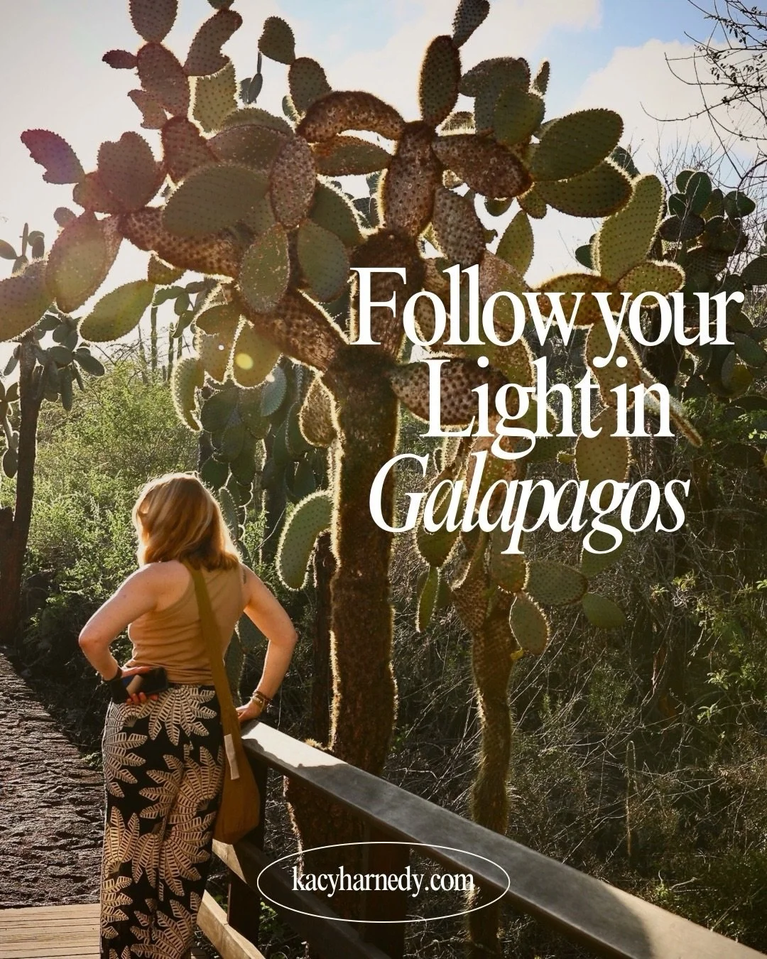 You may have followed along in November when I got to bring a group to explore The Galapagos Islands and it was truly magical! 

I&rsquo;m headed back January 30th, 2027 through February 6th 🐢 @semillaverdeboutiquehotel will be our home base for the
