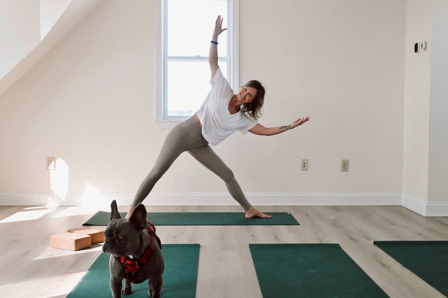 A girl and her dog 🐶 

I knew from the moment Maverick came into my life that he would be apart of everything I did. I&rsquo;m so thankful for the spaces that allow him to join. He brings so much love, so much joy, so much comfort to everyone he mee