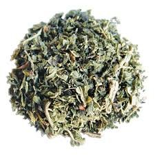 Lemon Balm.jpeg