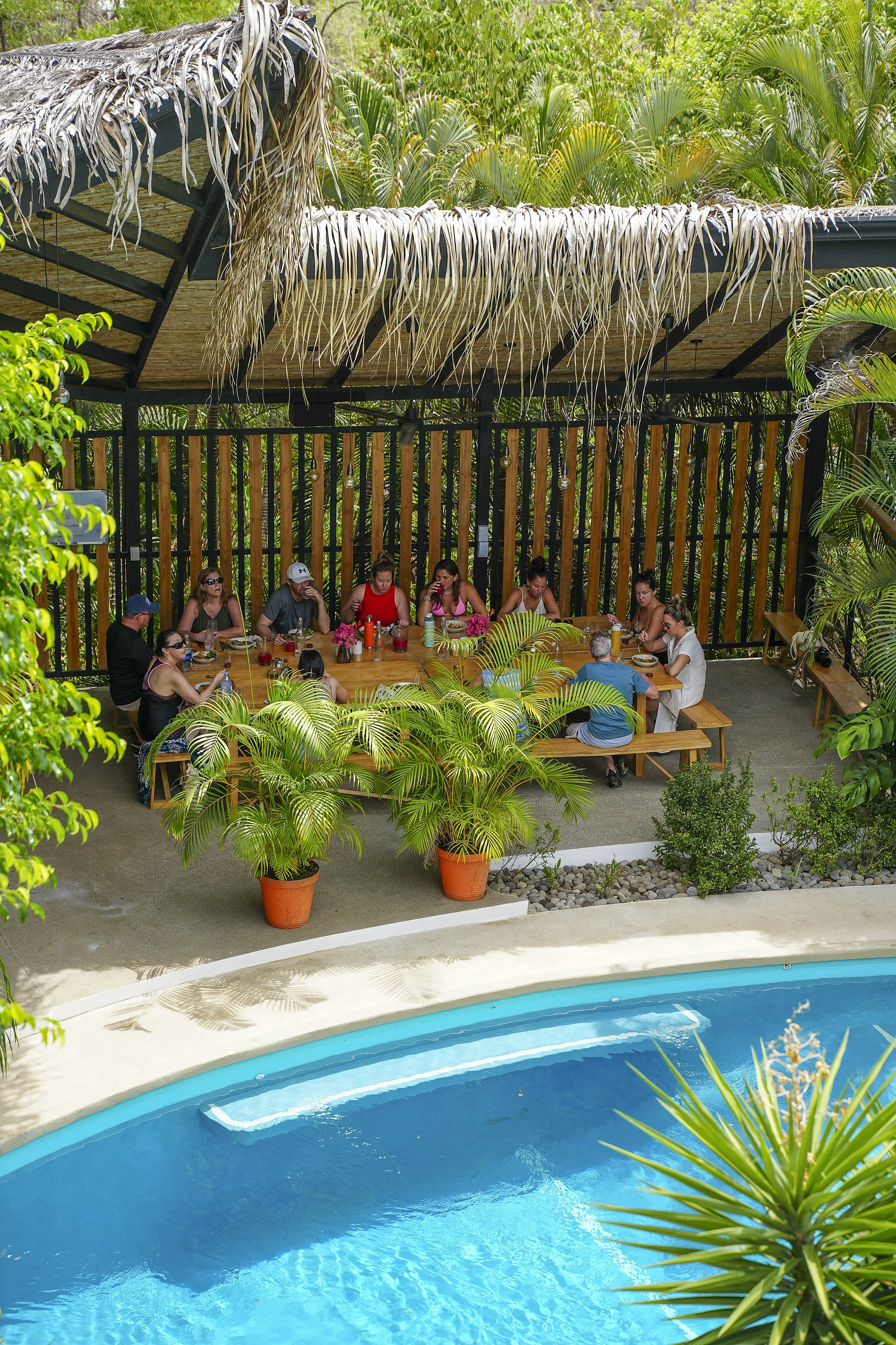 DSC08978.jpg