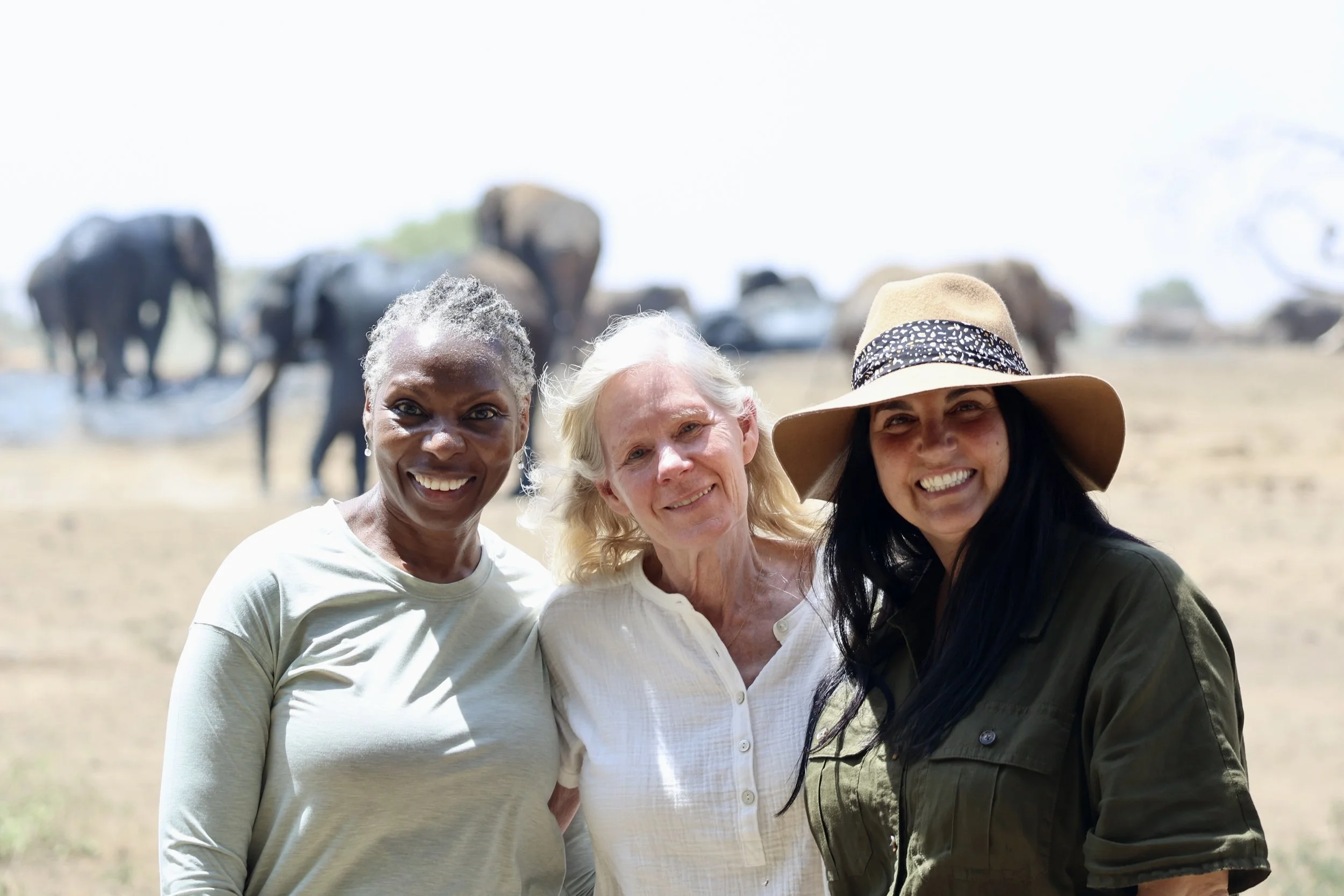Three women smiling outdoors in a savannah with elephants in the background.