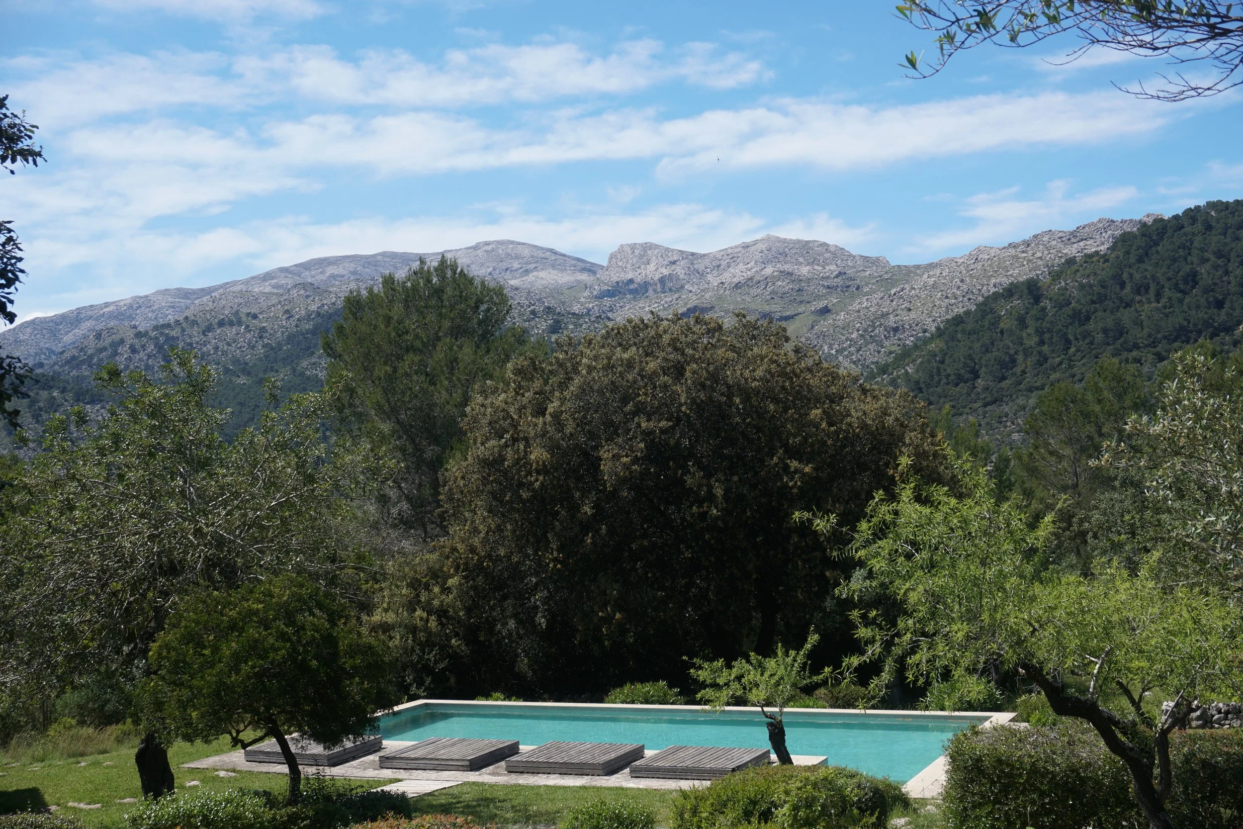 A scenic view of a rectangular swimming pool surrounded by greenery, with trees and shrubs, set against a backdrop of mountains under a blue sky with some clouds.