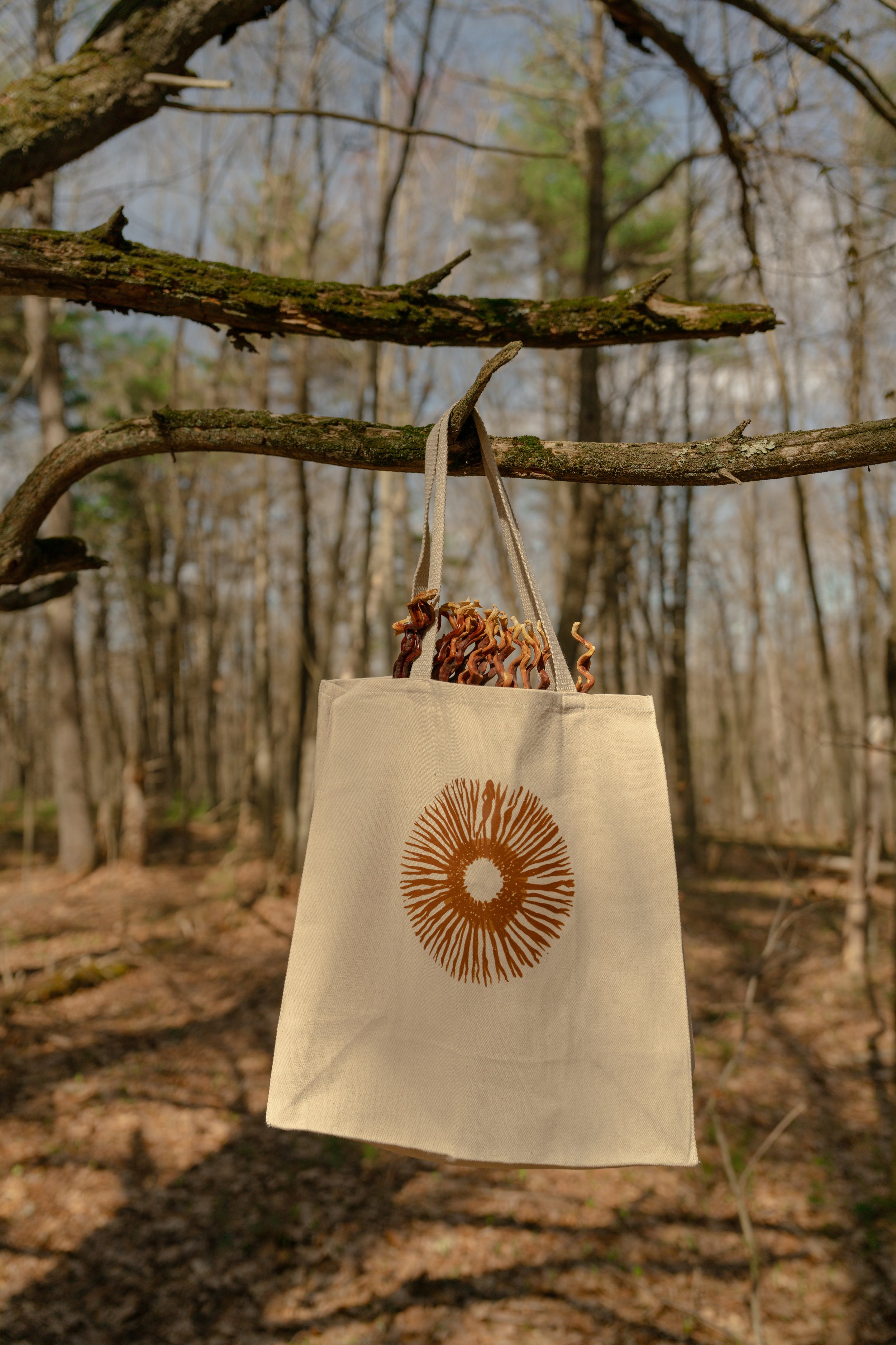 Foragers Tote on Tree.jpeg