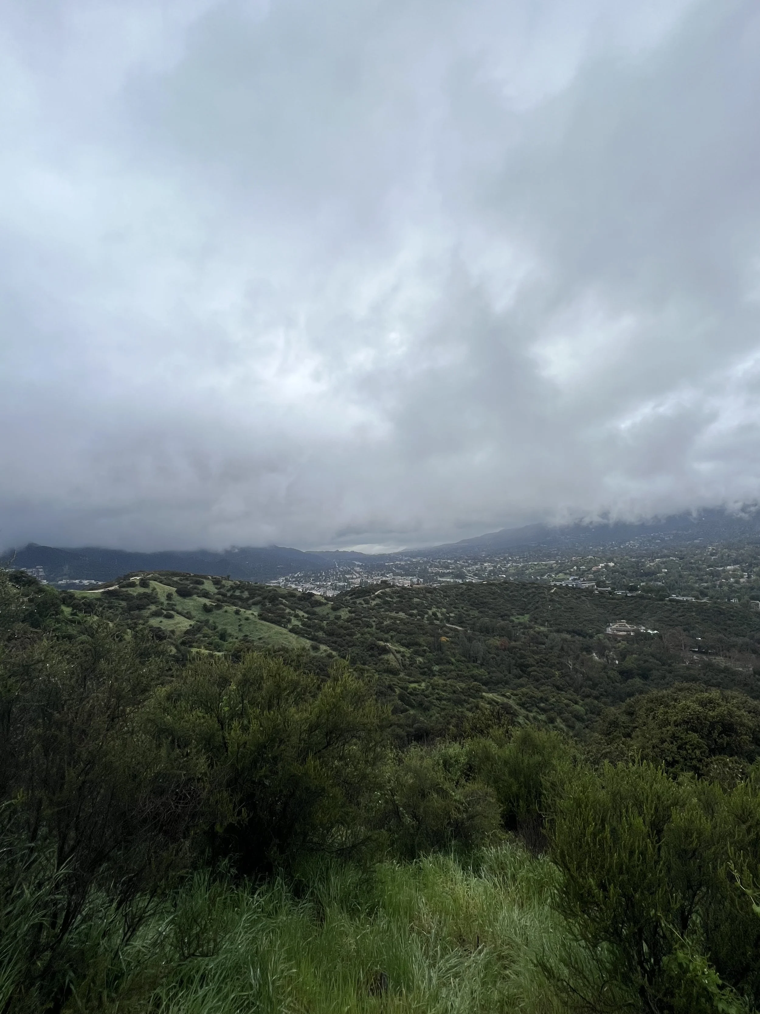 IMG_2146.jpeg