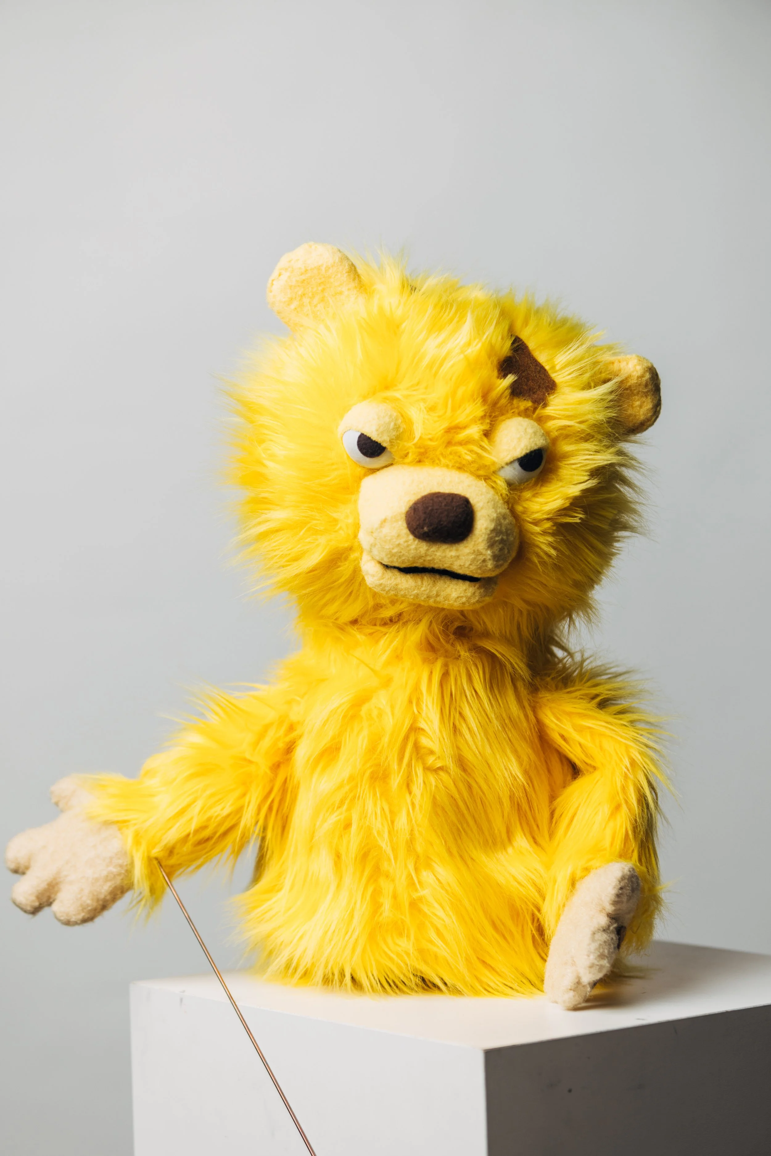 Yellow Bear