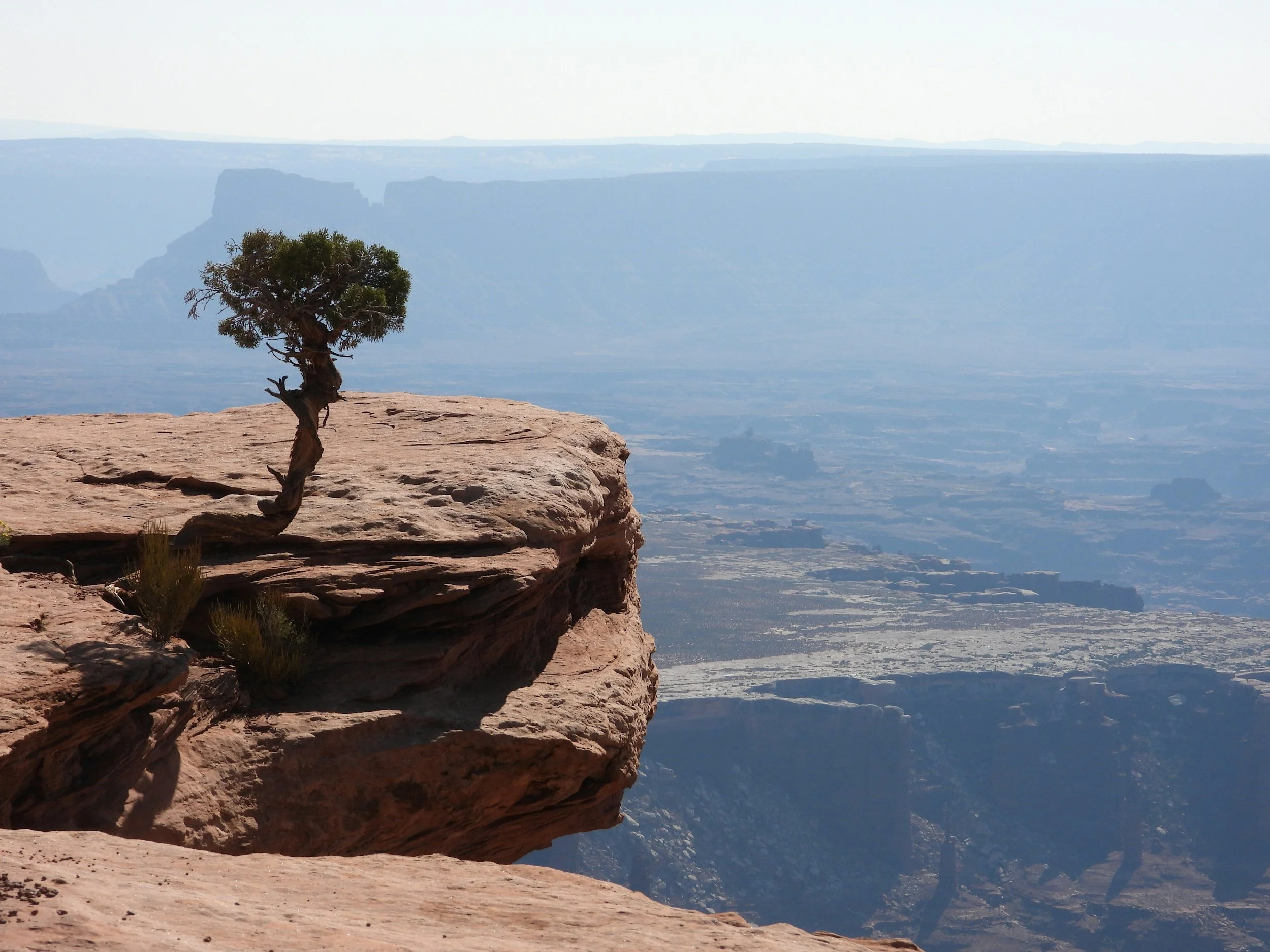 Loneliness vs. Being Alone: Understanding the Difference