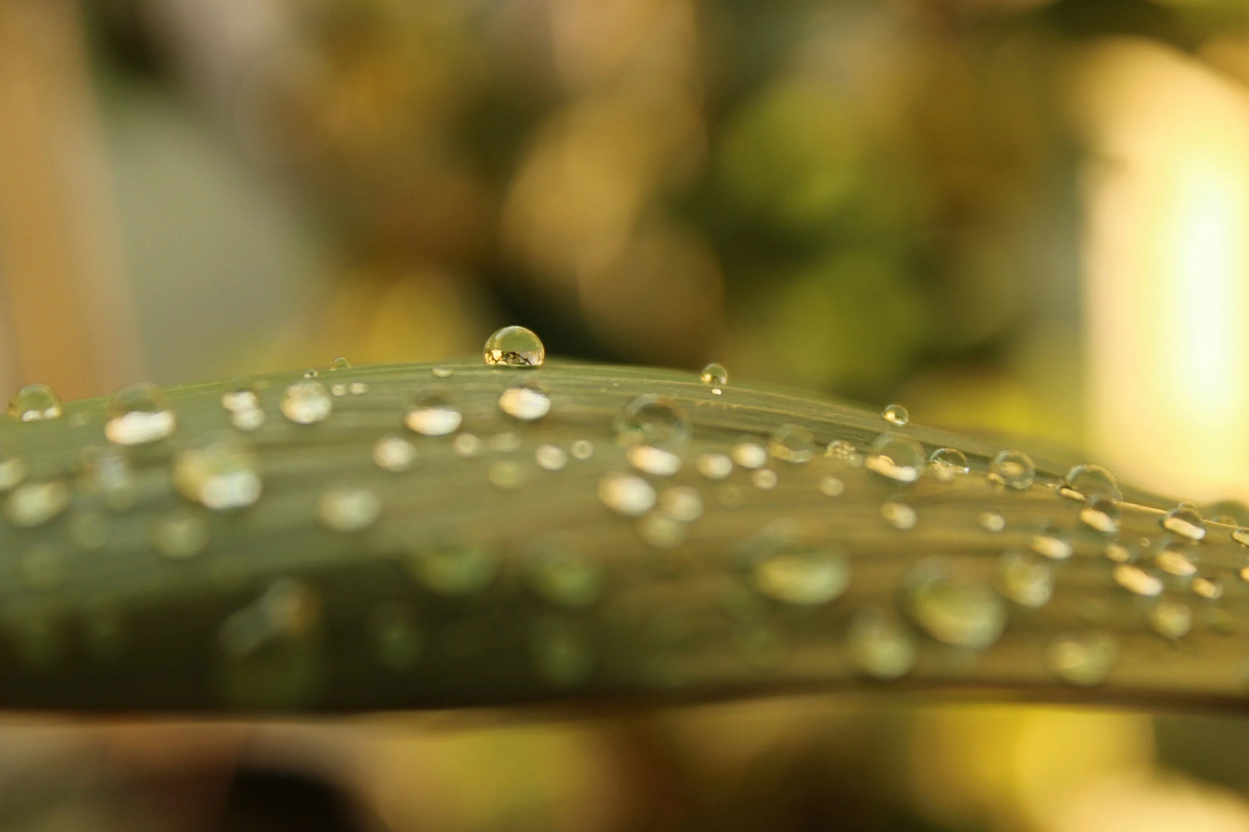 The Sunday Scaries: Understanding and Managing Pre-Week Anxiety