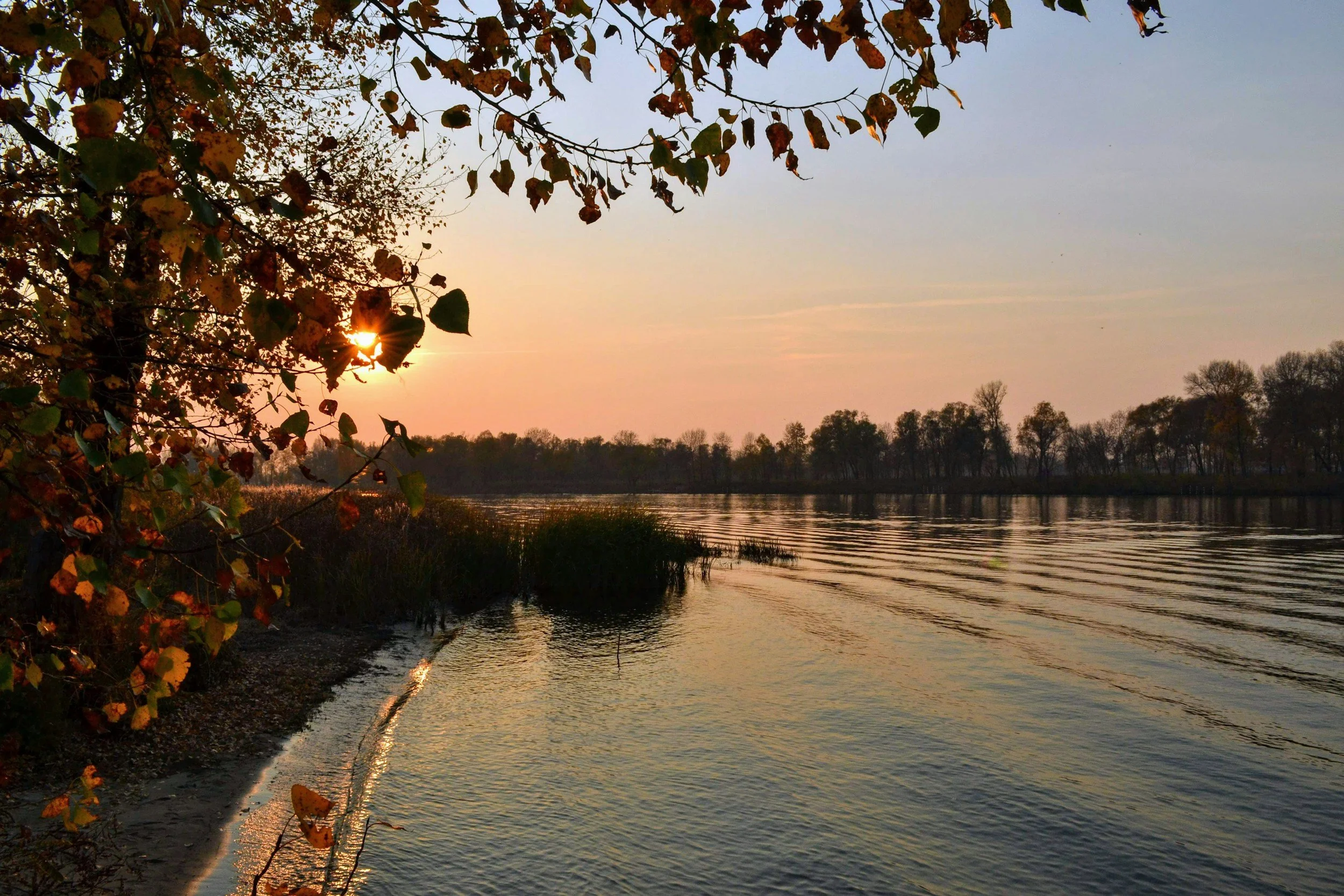 October 1st Mental Check-In: Is It Autumn Fatigue or Something More?