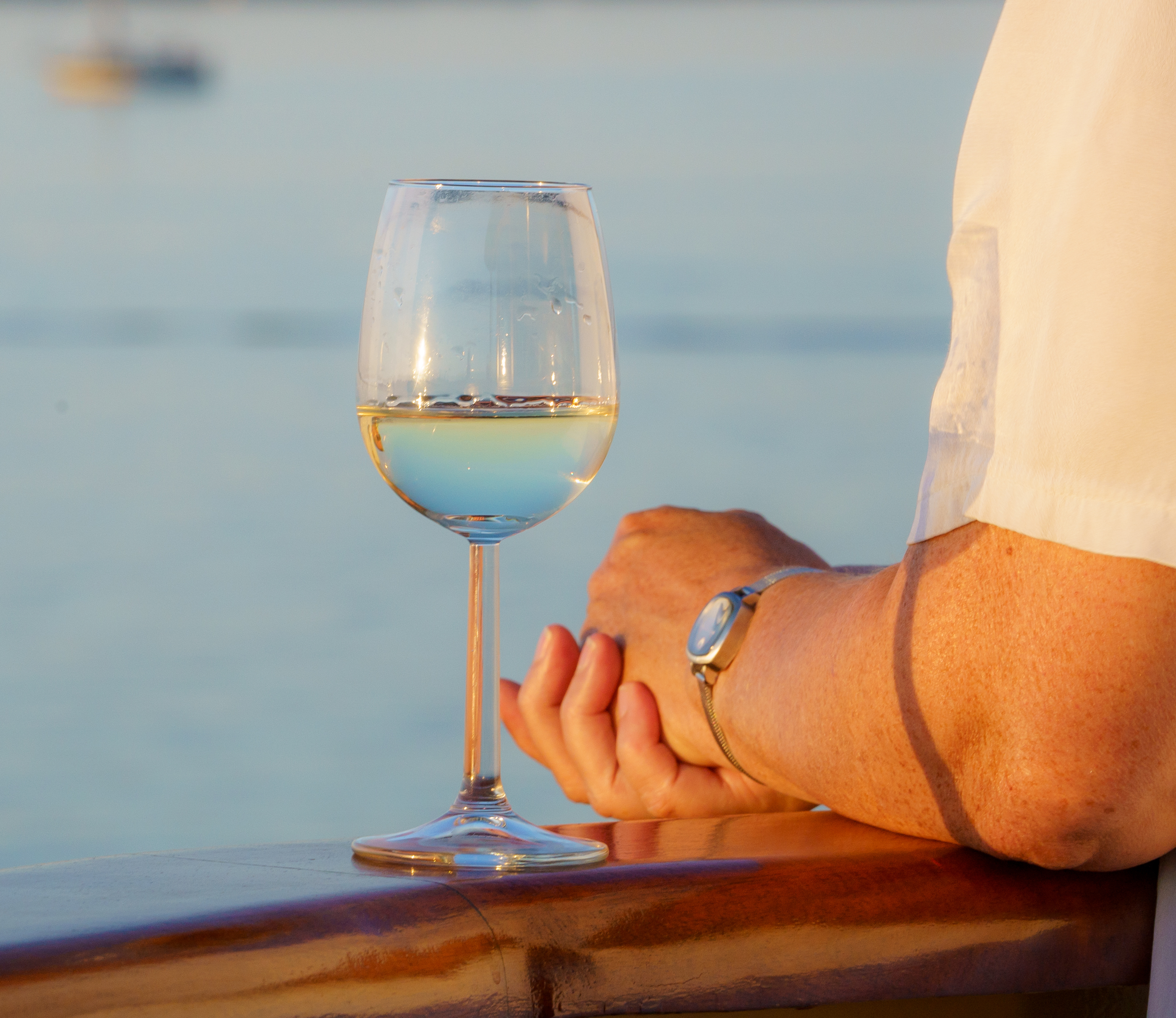 Annual Commodore’s Drinks - all sailors and supporters INVITED