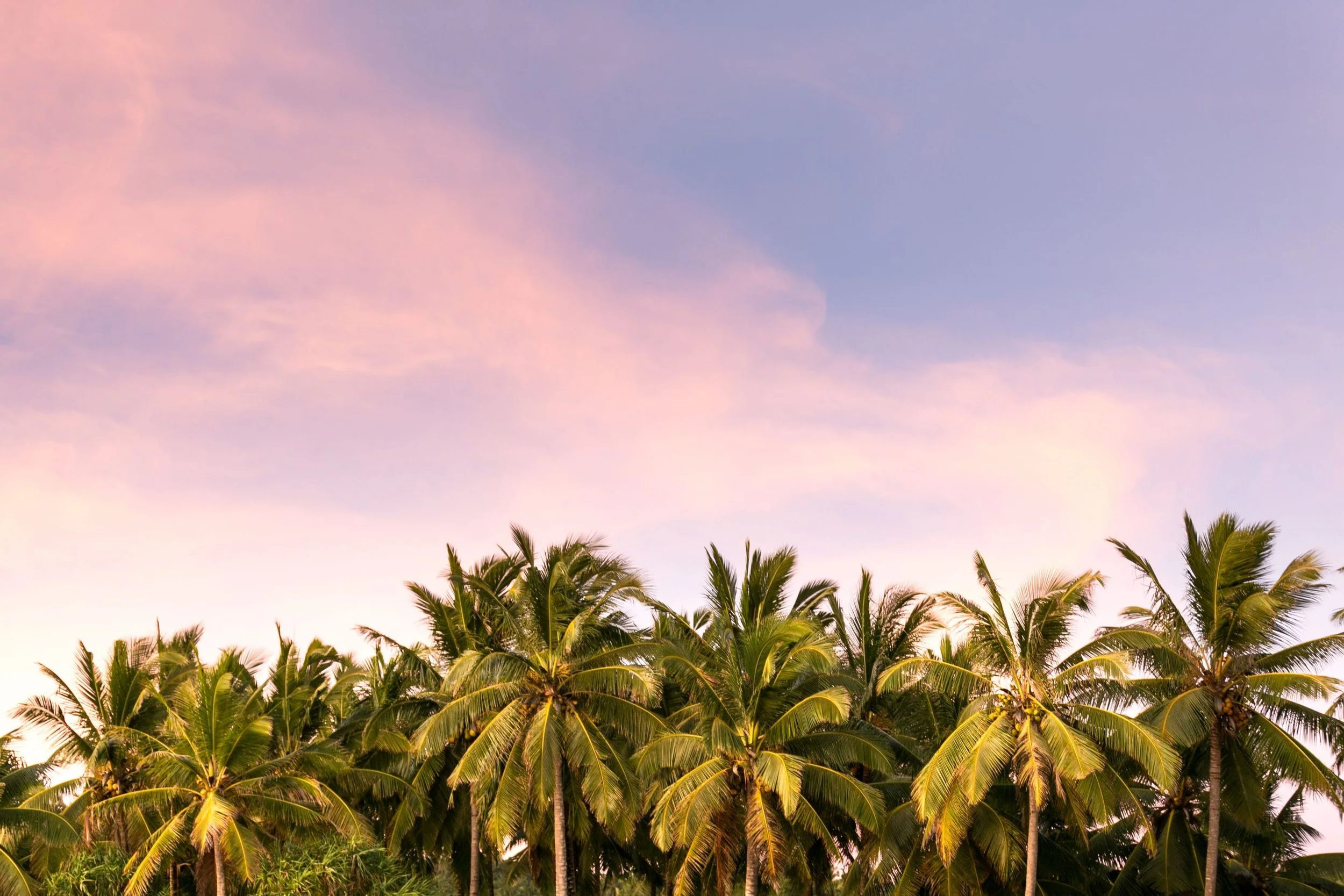 Nihiwatu - Your Ultimate Wellness Destination