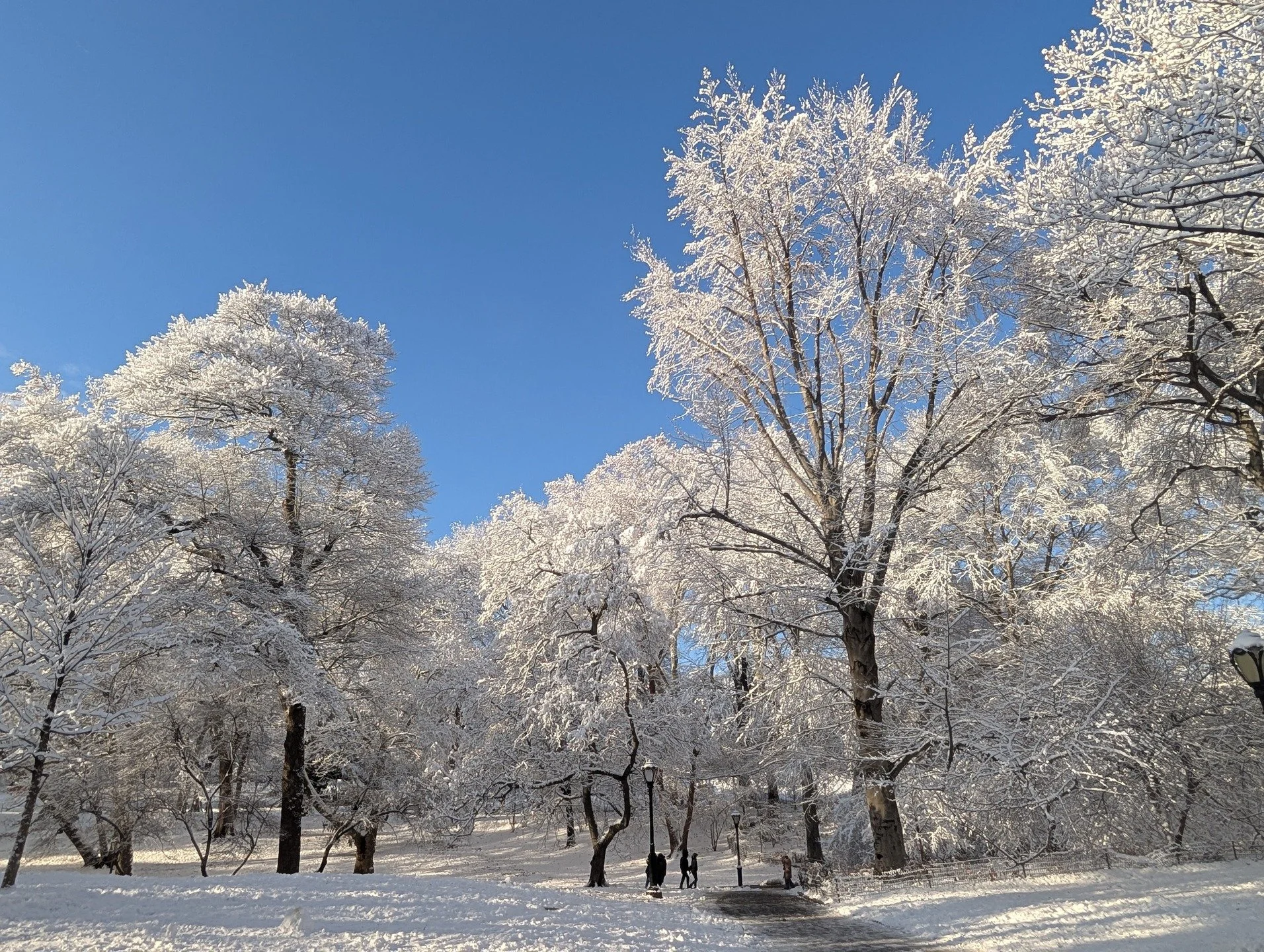 For a few hours last Sunday, New York City was a winter wonderland. I took the first of these photos in Central Park just after the sun came out, the second in Riverside Park the next day.