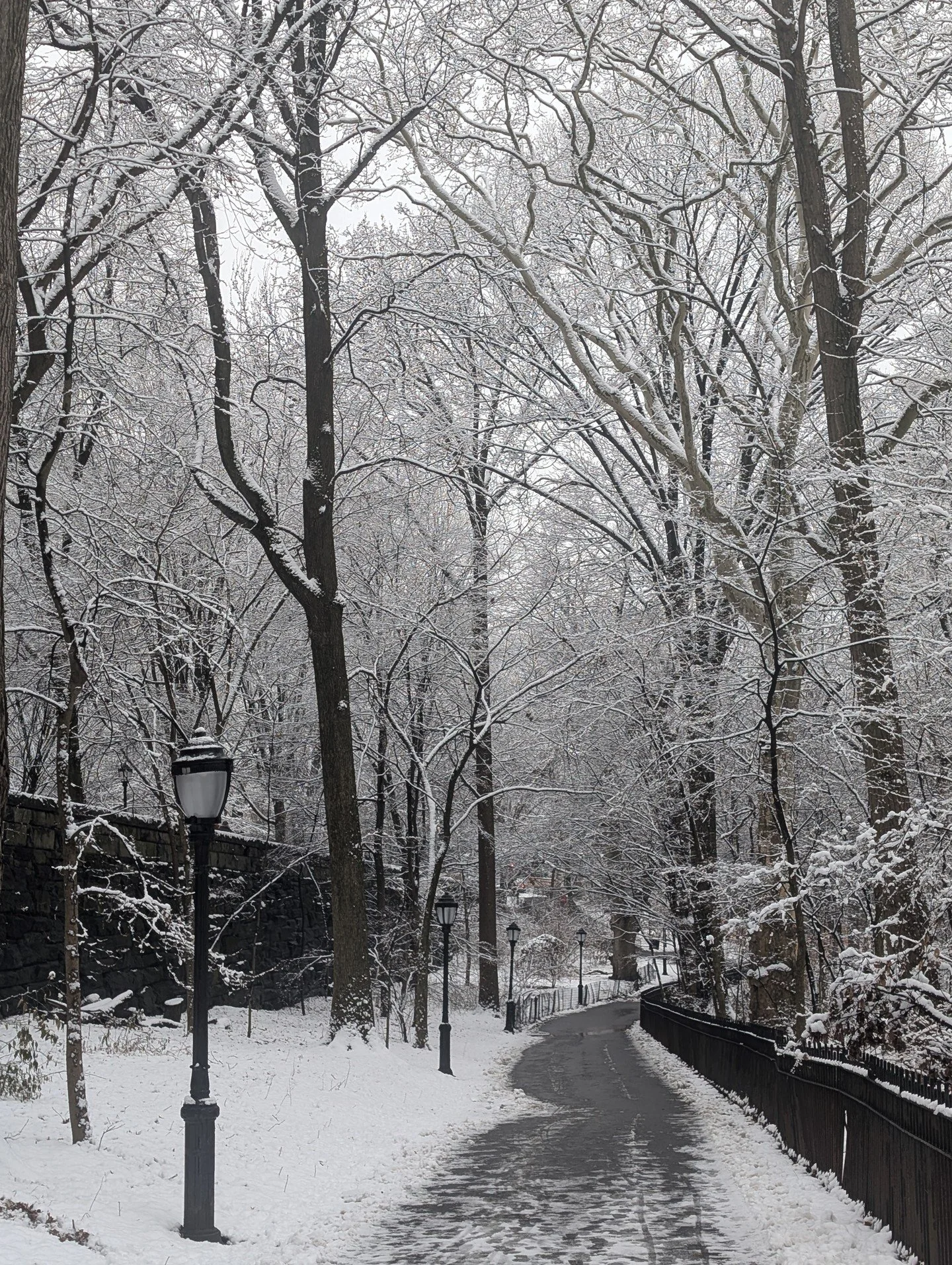 Snow is falling again in New York, blanketing the city in its soft white magic. Everything today feels slower, calmer, quieter -- except for the kids in the park who noisily compete with each other to see who can most quickly slide down the hills. 


